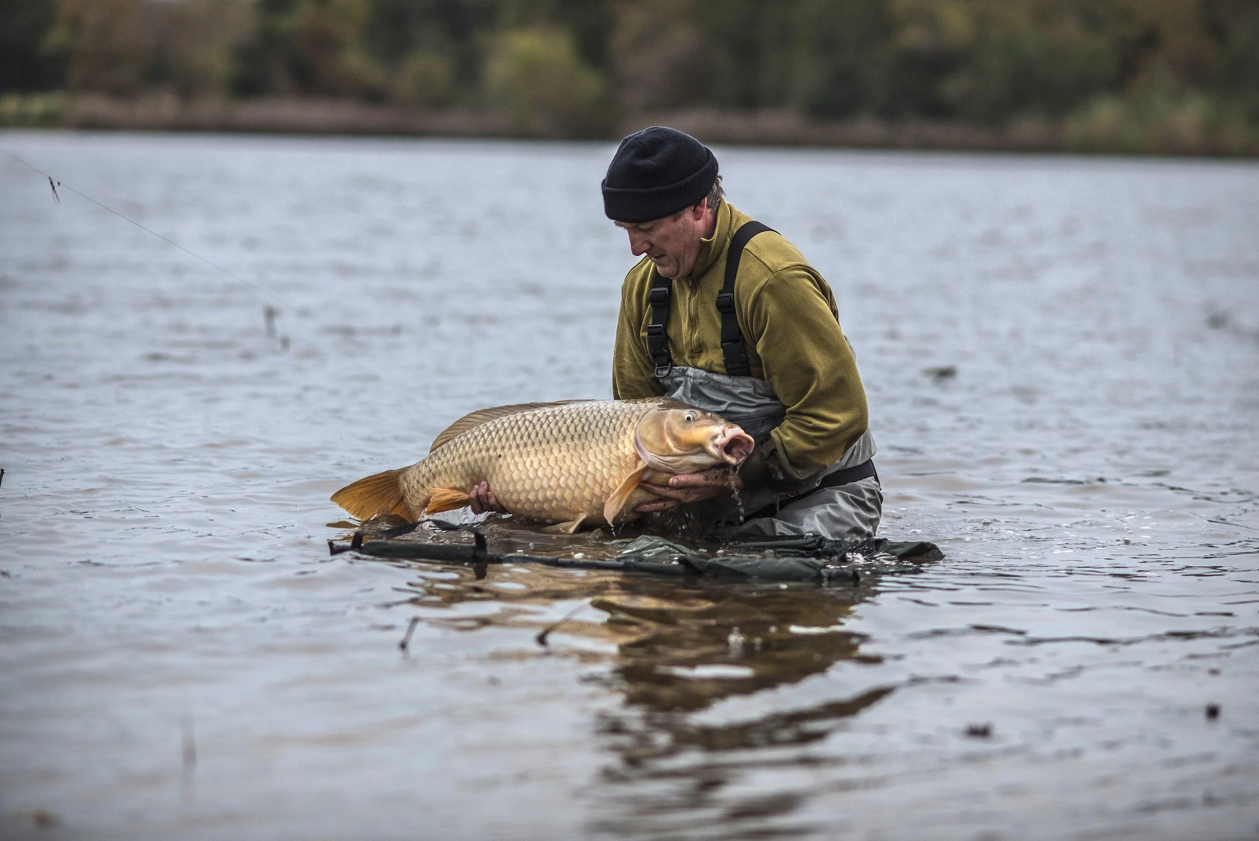 Educating & Promoting Specimen Carp Fishing American Carp Society Membership Options