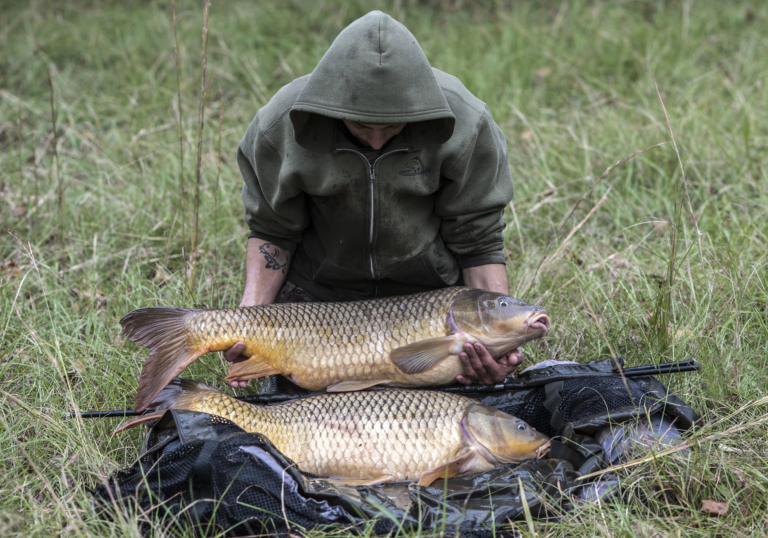  Educating &amp; Promoting Specimen Carp Fishing   American Carp Society    Membership Options  