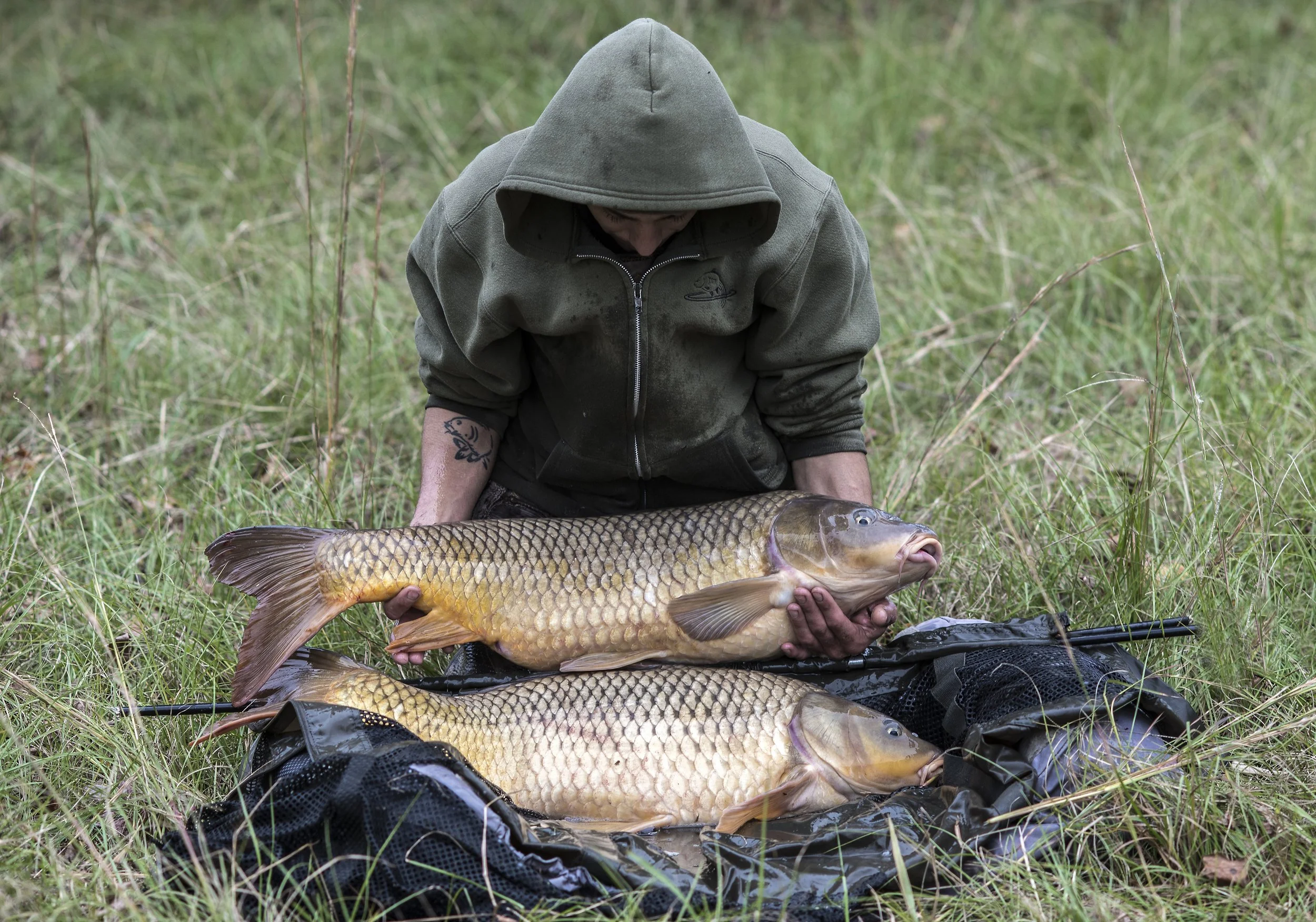 Educating & Promoting Specimen Carp Fishing American Carp Society Membership Options