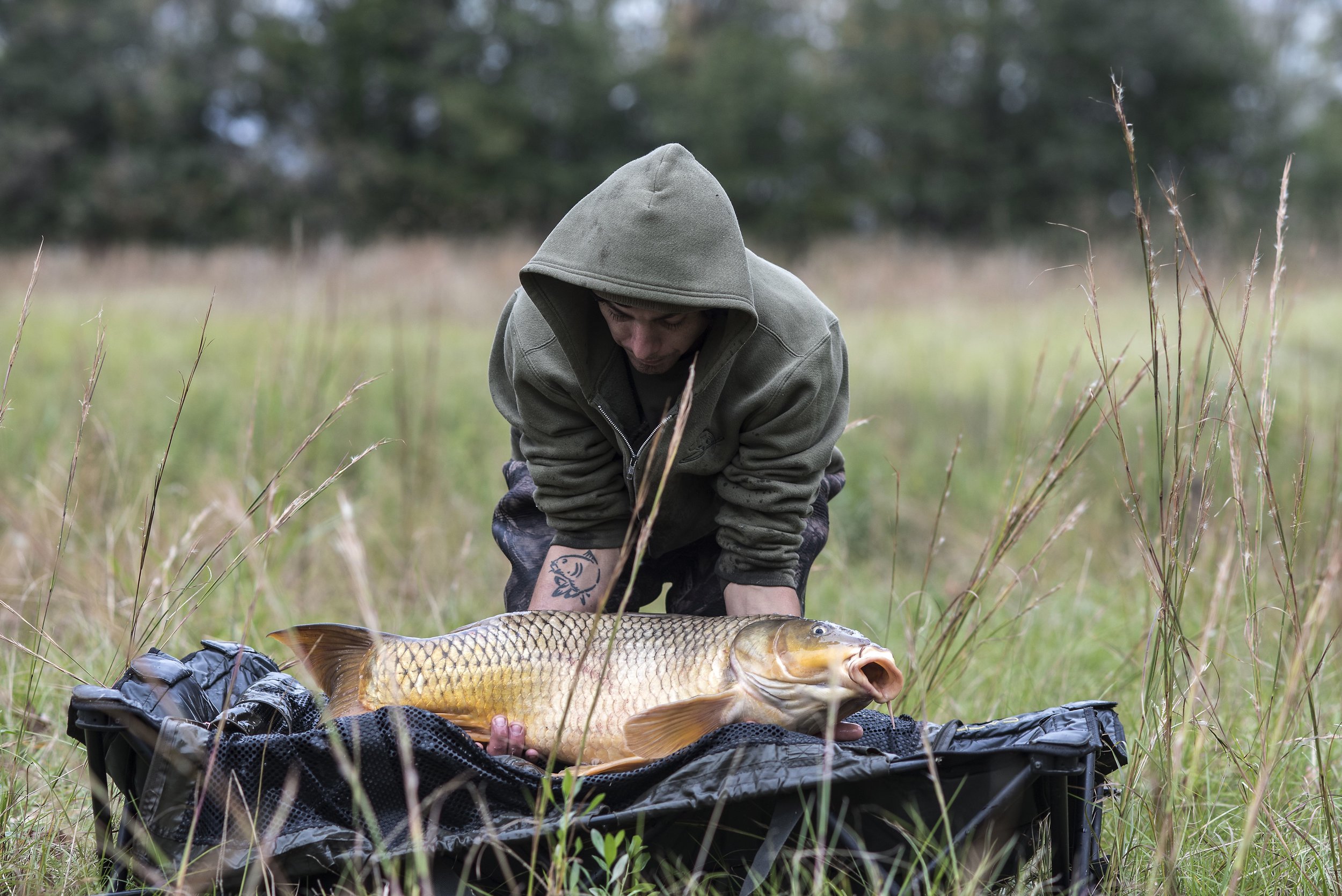  Educating &amp; Promoting Specimen Carp Fishing   American Carp Society    Membership Options  