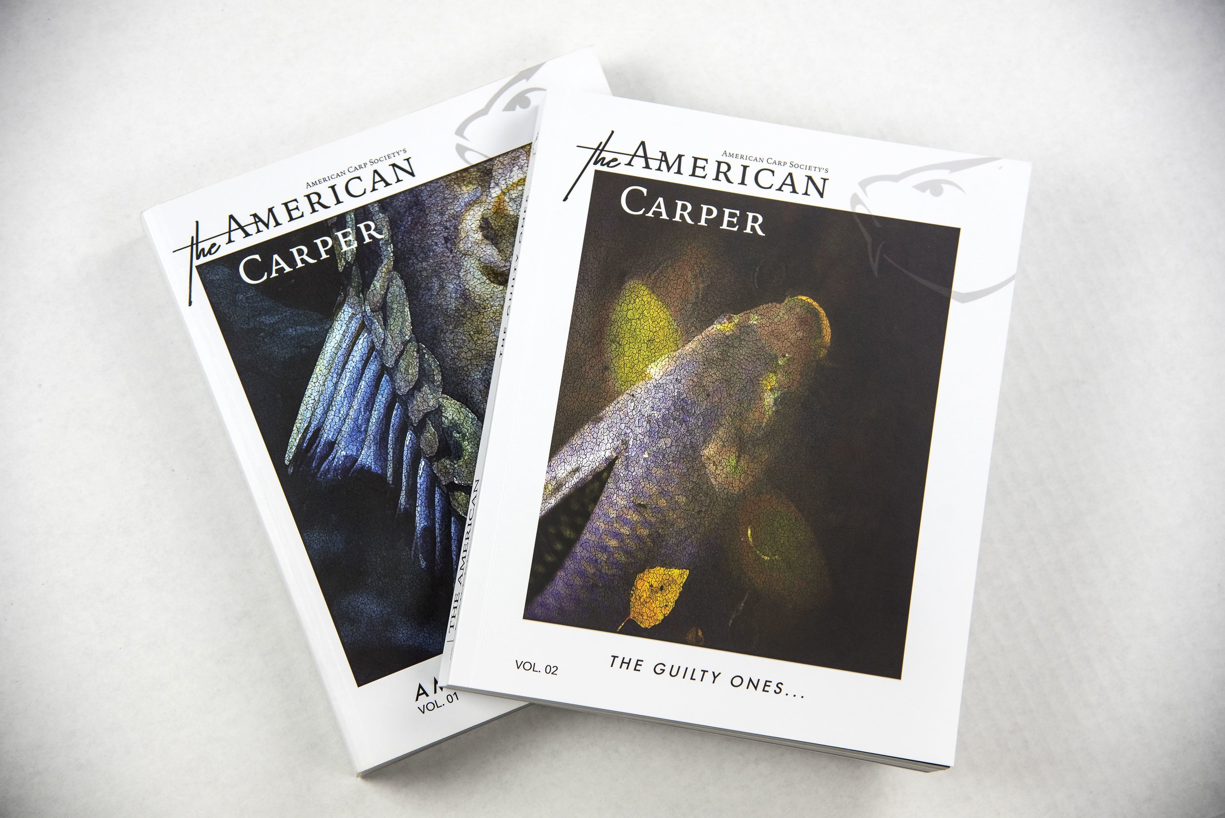  Educating &amp; Promoting Specimen Carp Fishing   American Carp Society    Membership Options  