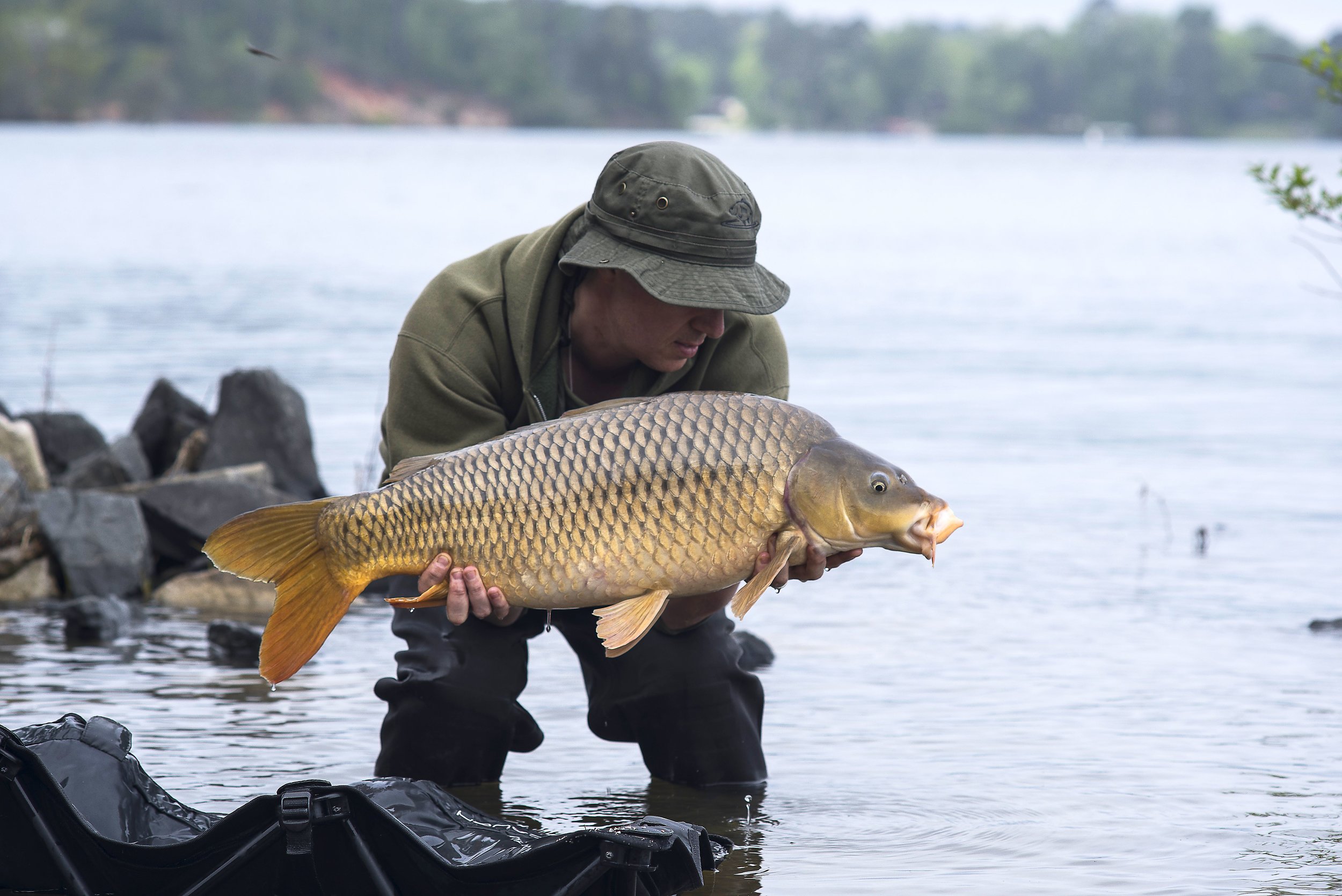  Educating &amp; Promoting Specimen Carp Fishing   American Carp Society    Membership Options  