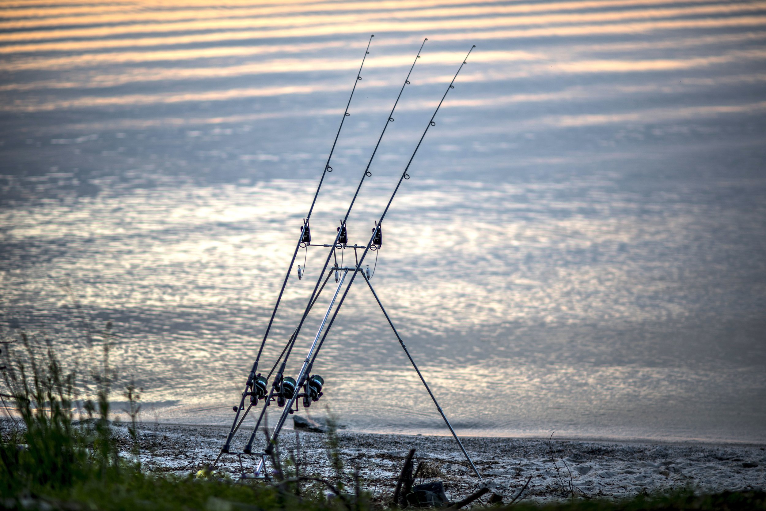  Educating &amp; Promoting Specimen Carp Fishing   American Carp Society    Membership Options  