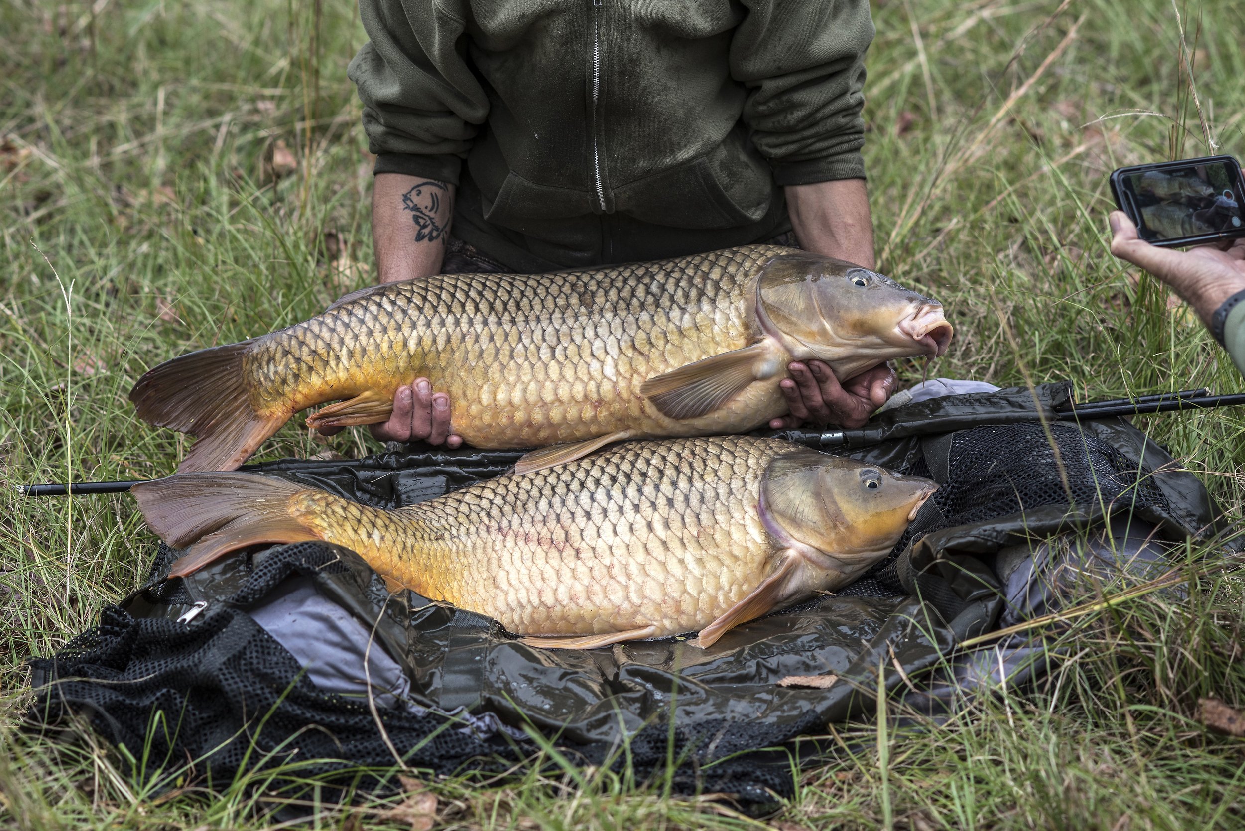  Educating &amp; Promoting Specimen Carp Fishing   American Carp Society    Membership Options  