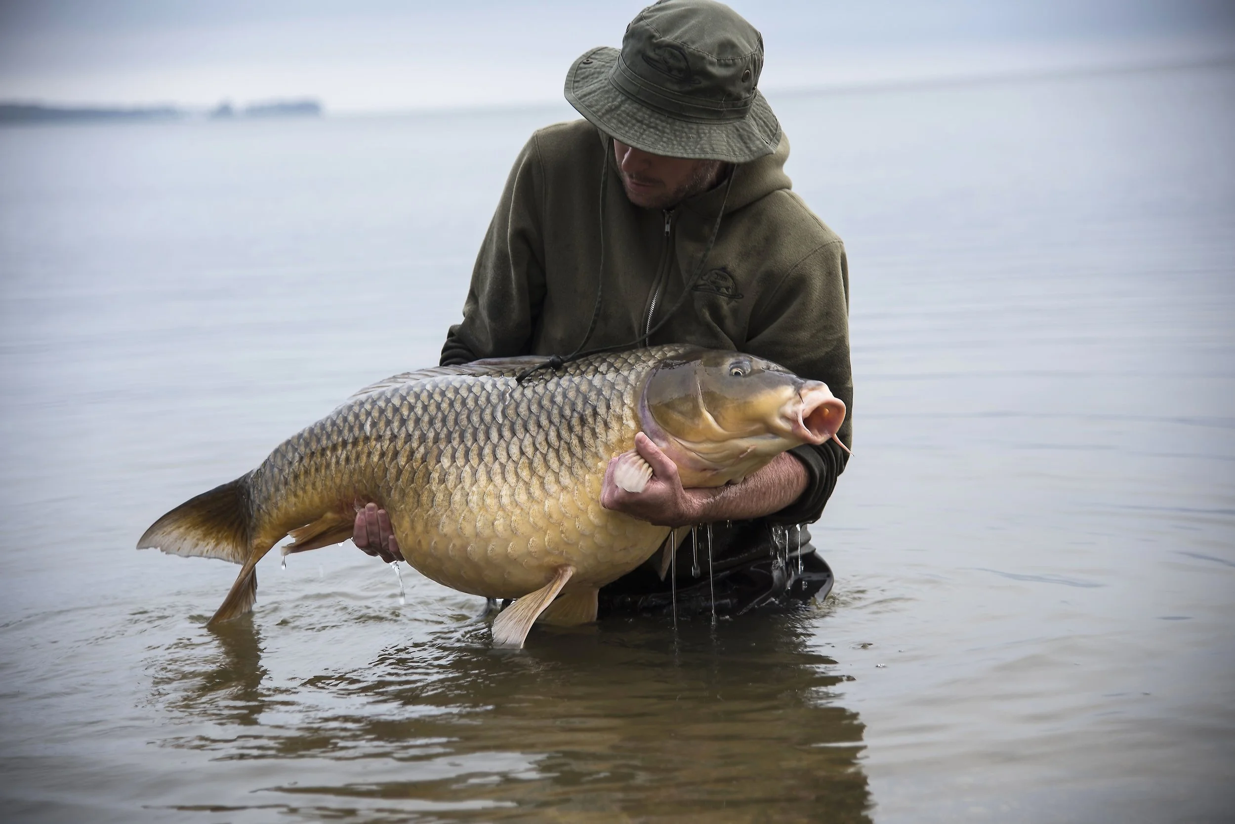 Educating & Promoting Specimen Carp Fishing American Carp Society Membership Options