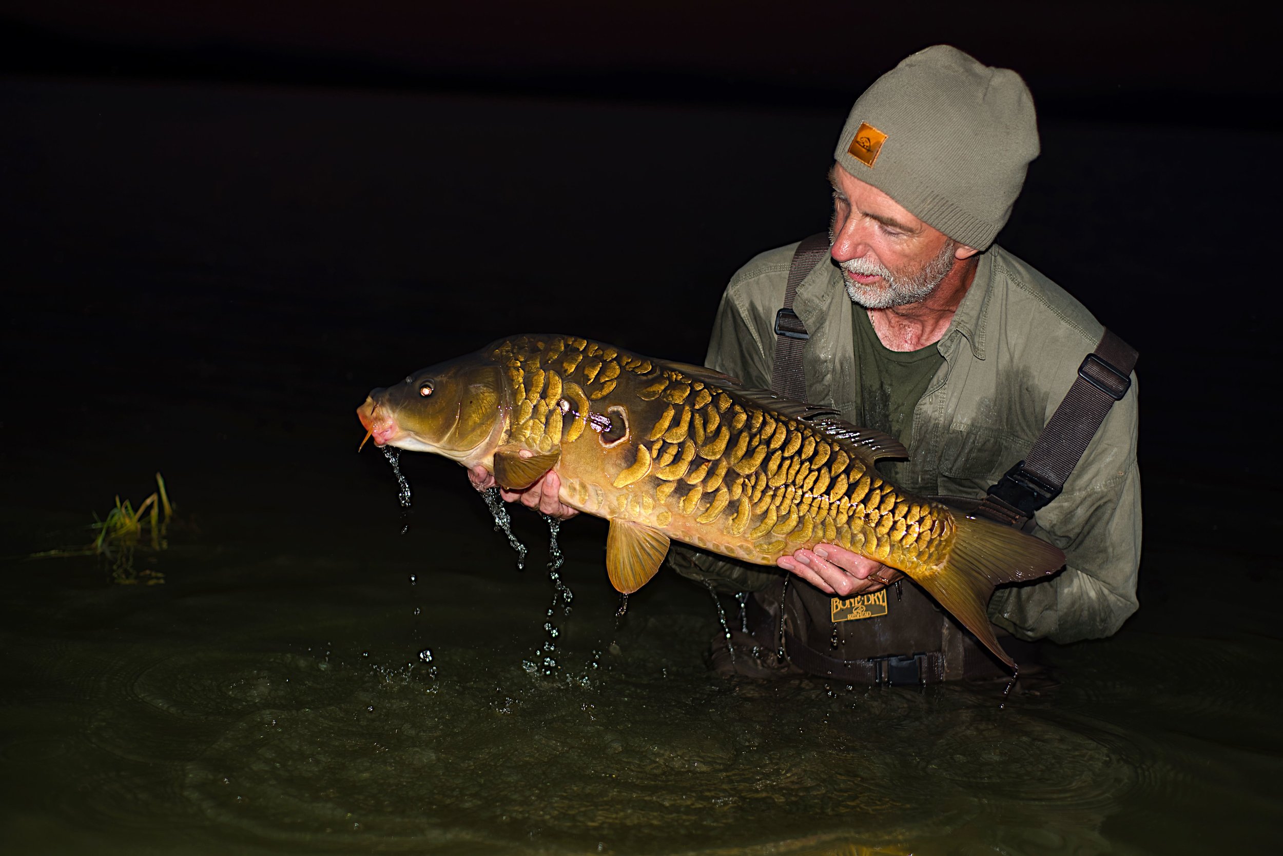  Educating &amp; Promoting Specimen Carp Fishing   American Carp Society    Membership Options  