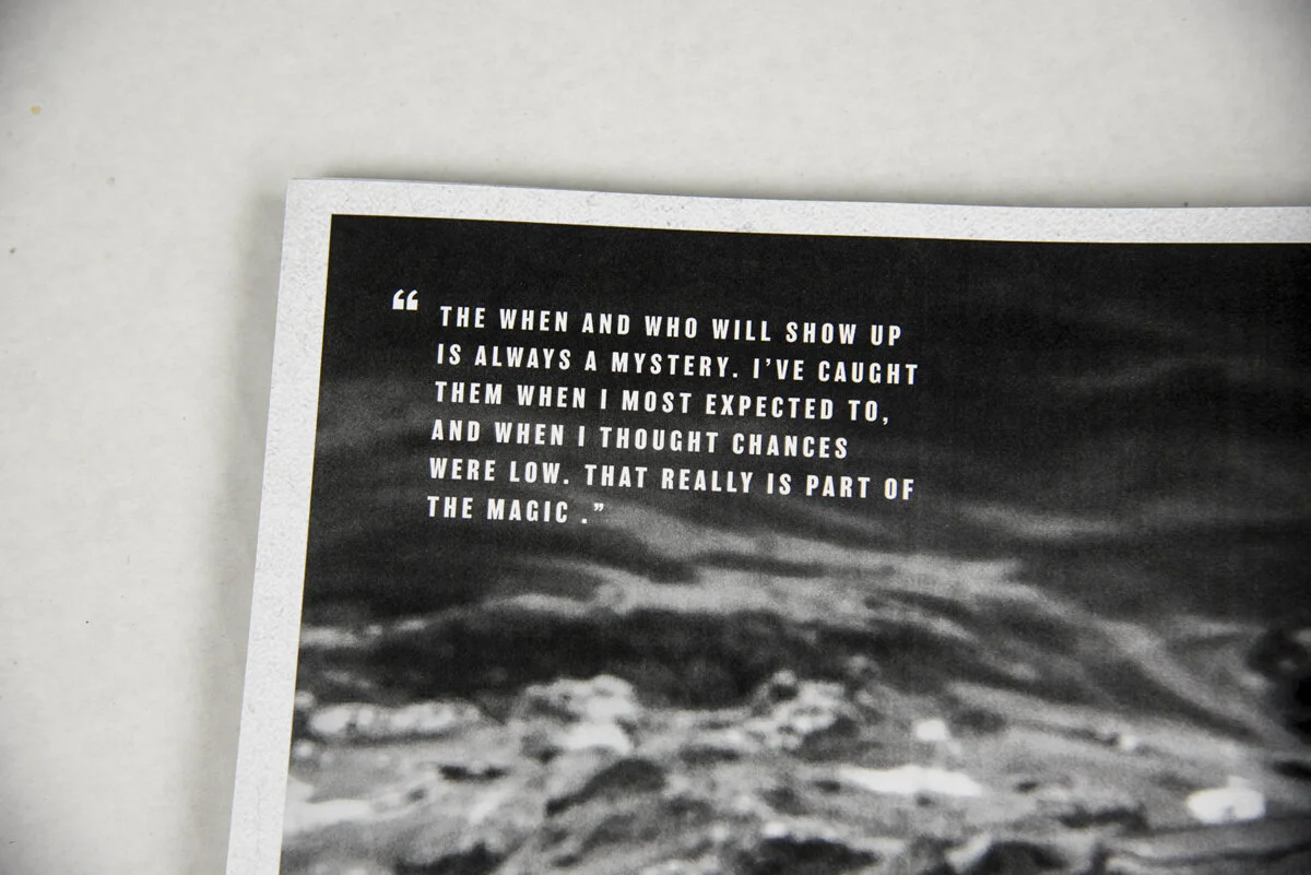 cliffsharpquote2.jpg