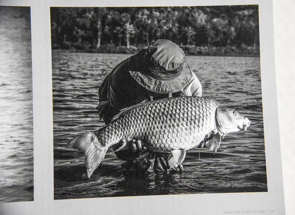 seqncommon.jpg