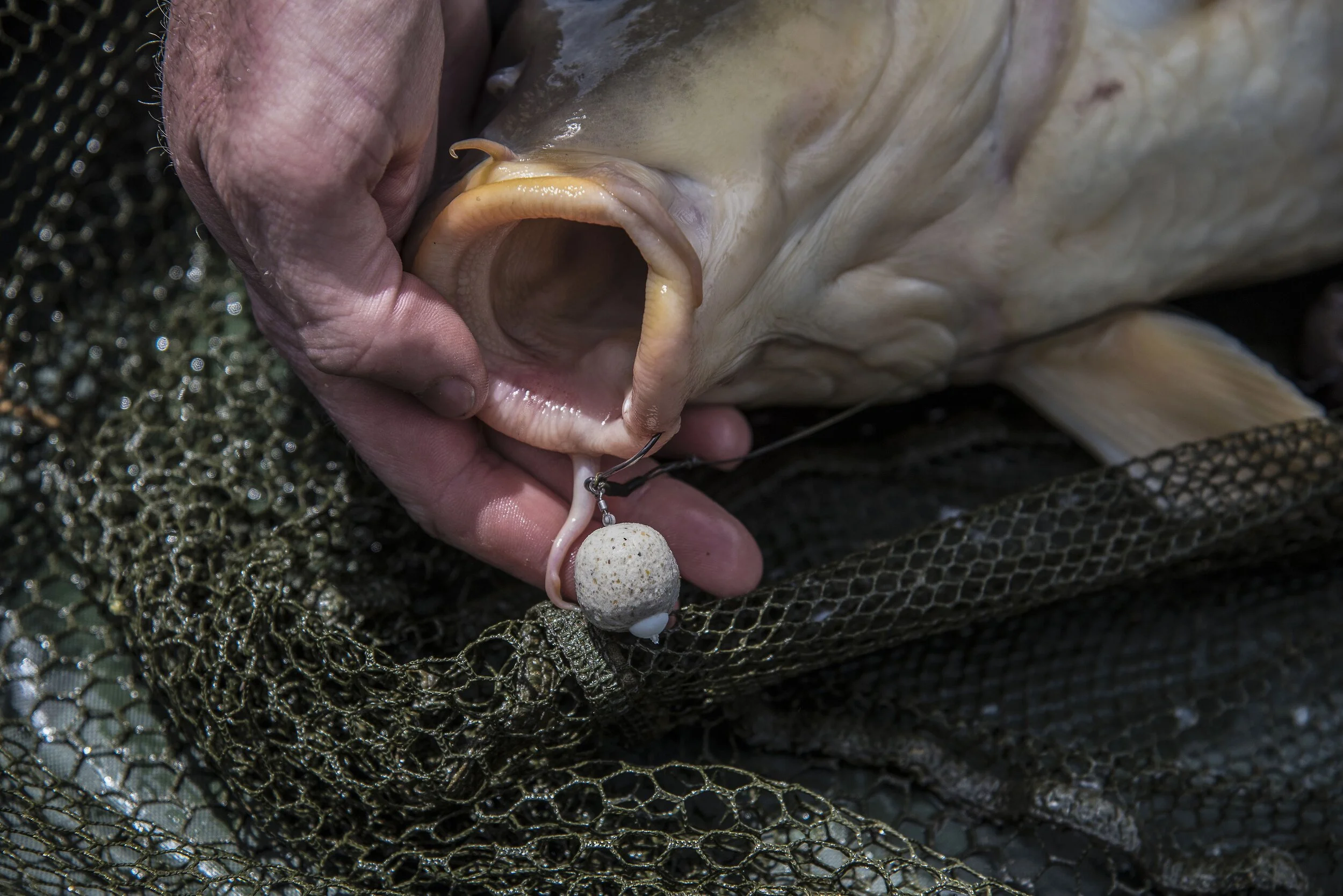 bait mirror 2-squashed.jpg