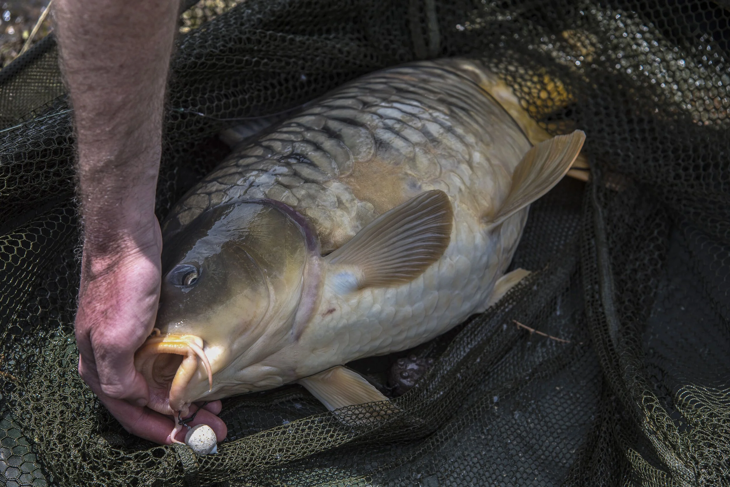 bait mirror 3-squashed.jpg