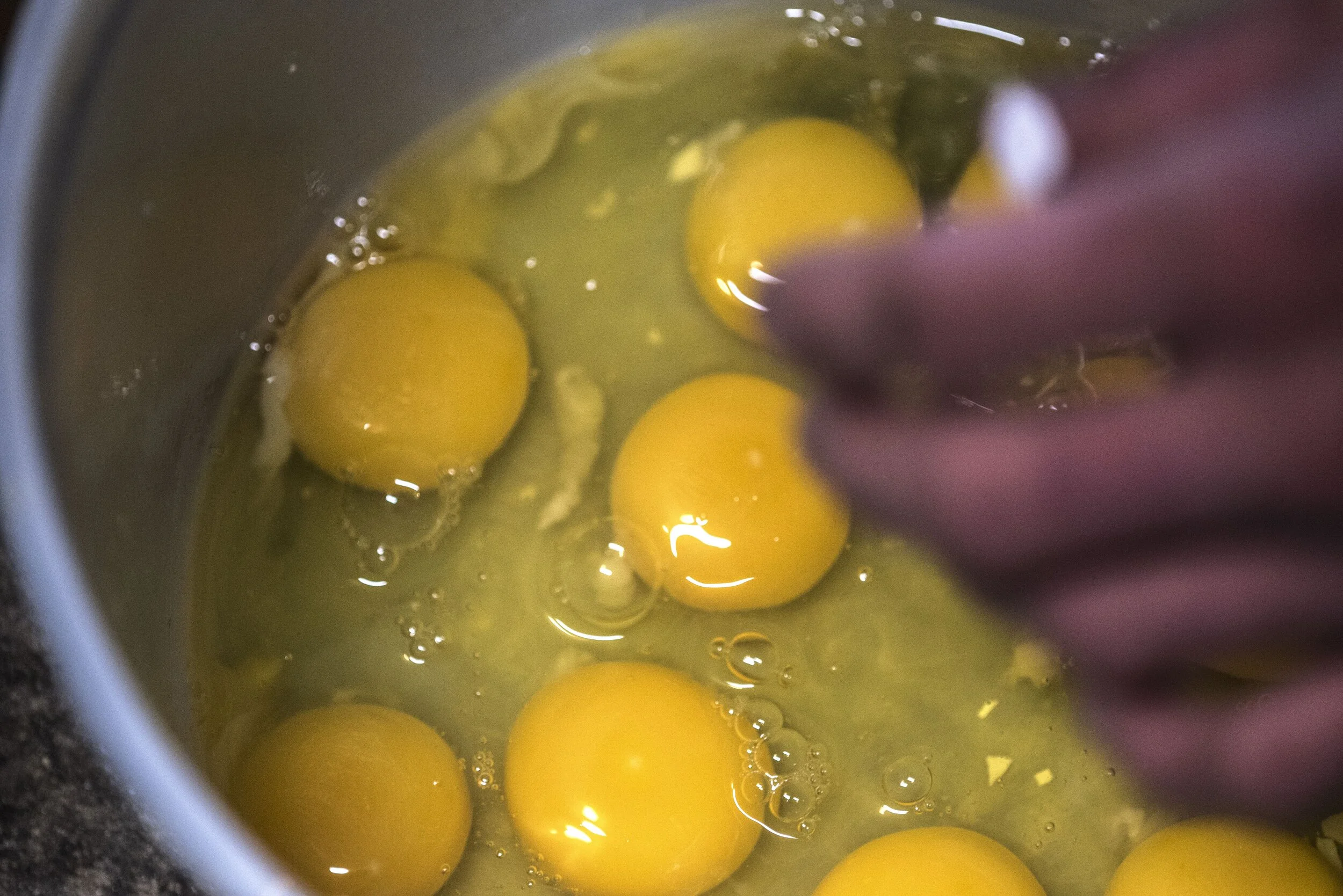EGGS INBOWL-squashed.jpg
