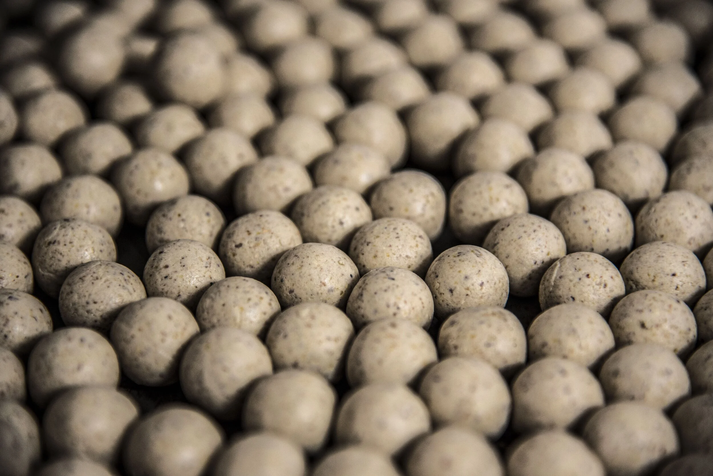 FULL FRAME BOILIES-squashed.jpg