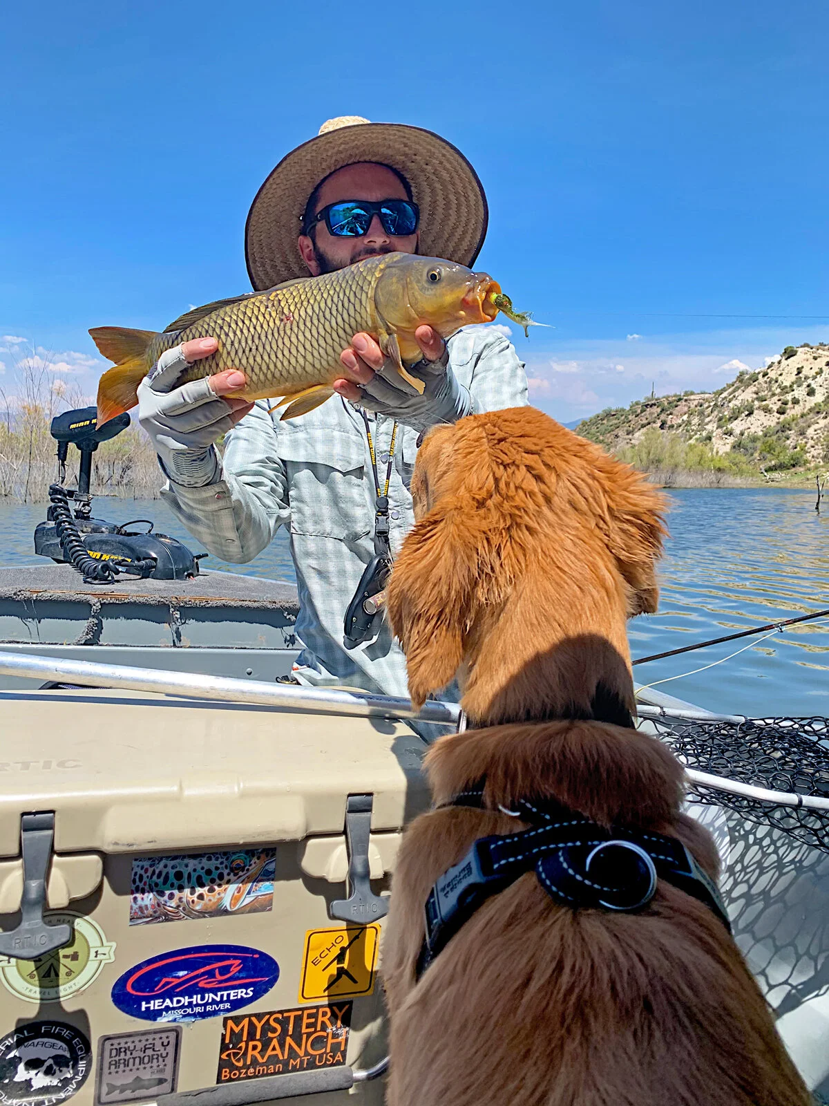 Carp On The Fly - The New Generation Of Carp Anglers