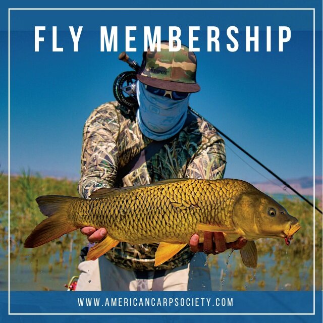 New Membership for Fly Anglers