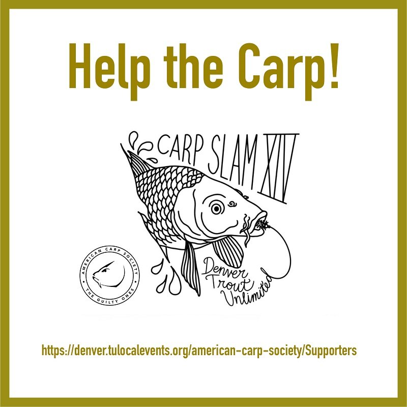 Help the Carp! Fundraiser for South Platte River