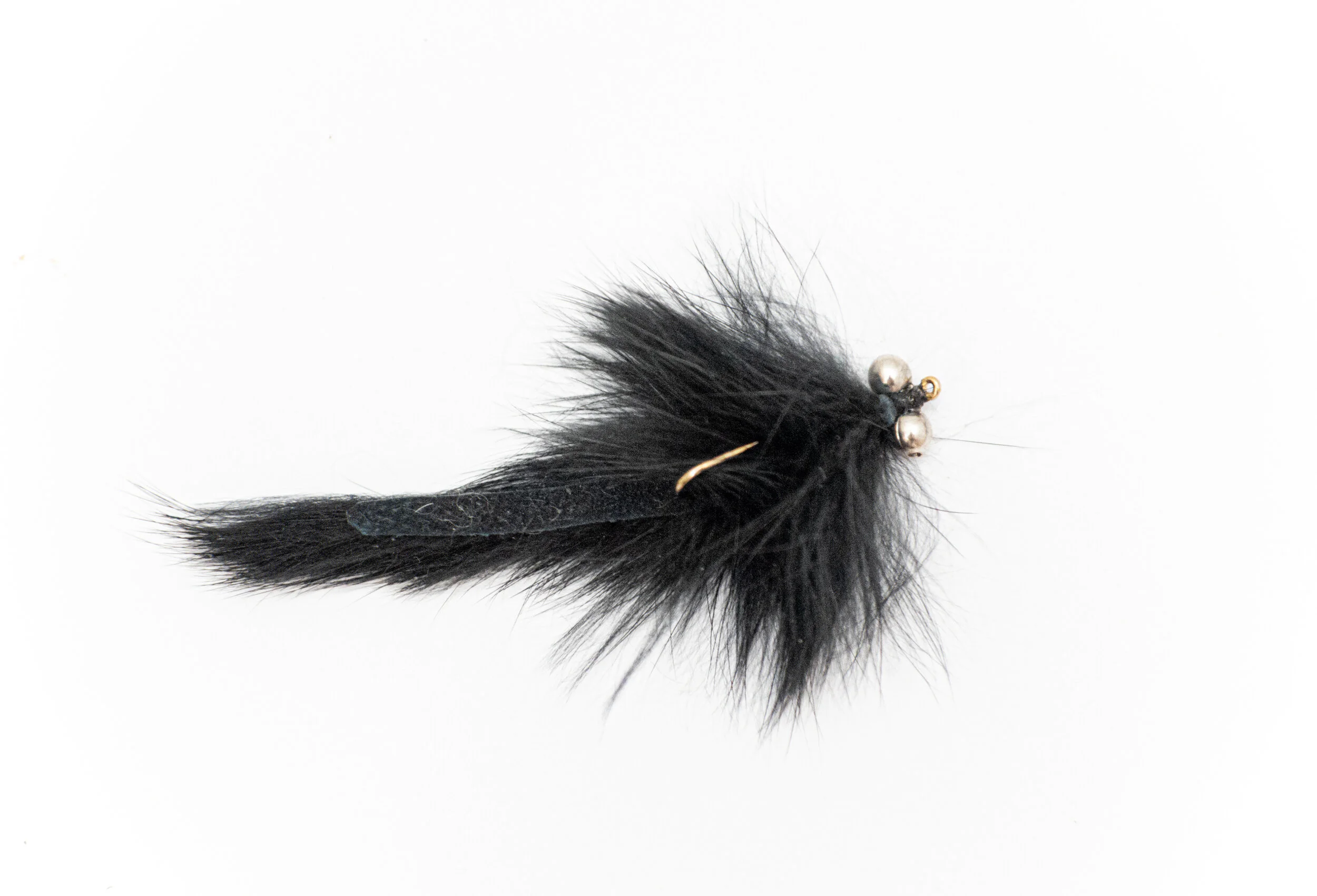 CROPPED BLACK DRAGON .jpg