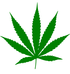 Cannabis_leaf.svg.png