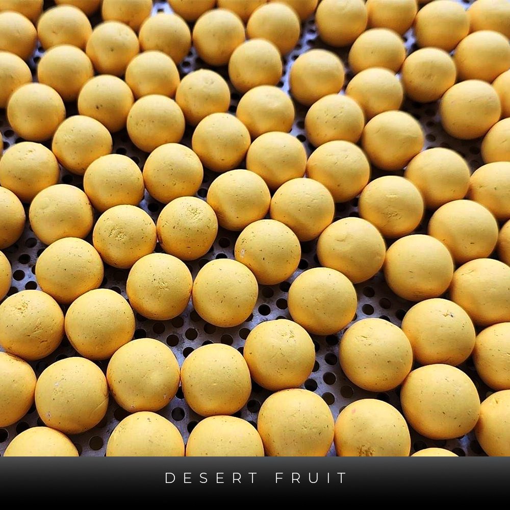 DESERT FRUIT POP UP SQUARE.jpg