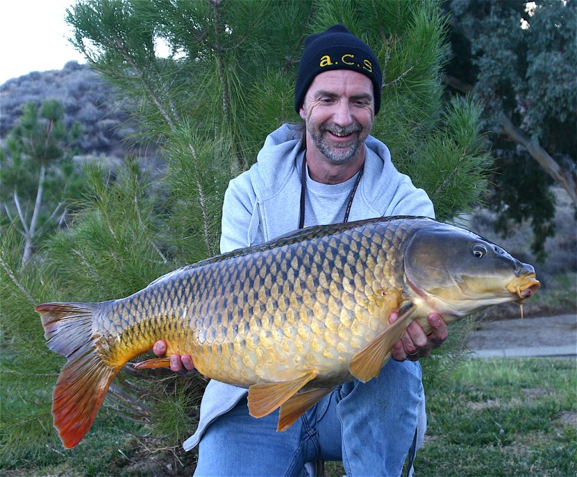 **** Carp Article#1 Photo 2.2****- 1mb.jpg