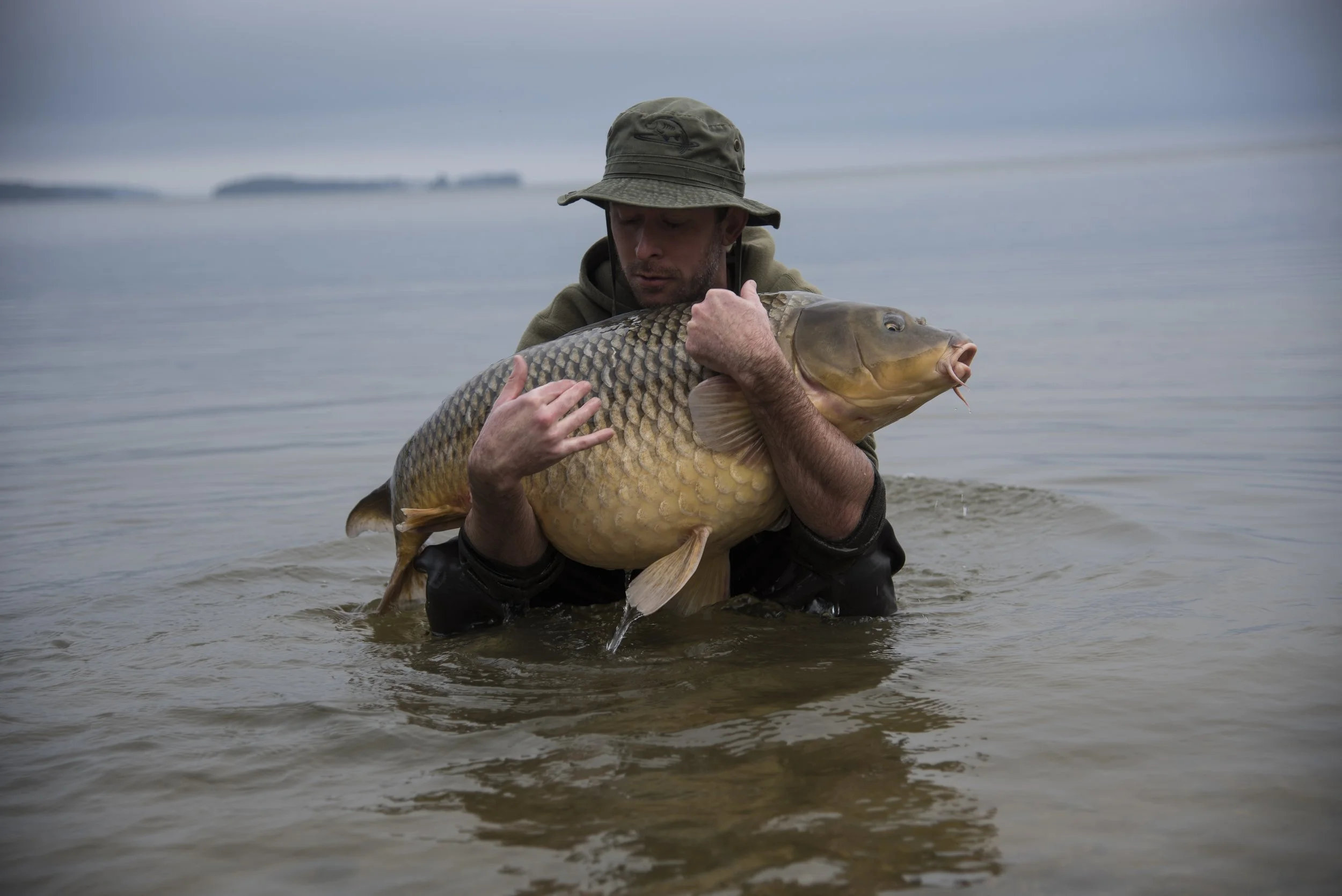 WATER SHOT BACK COVER 2 copy.JPG