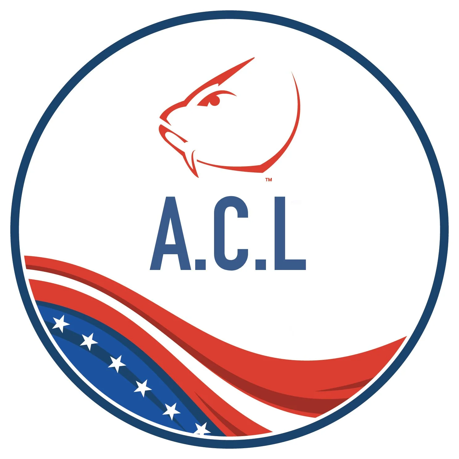 ACL - Fall Challenge 2026