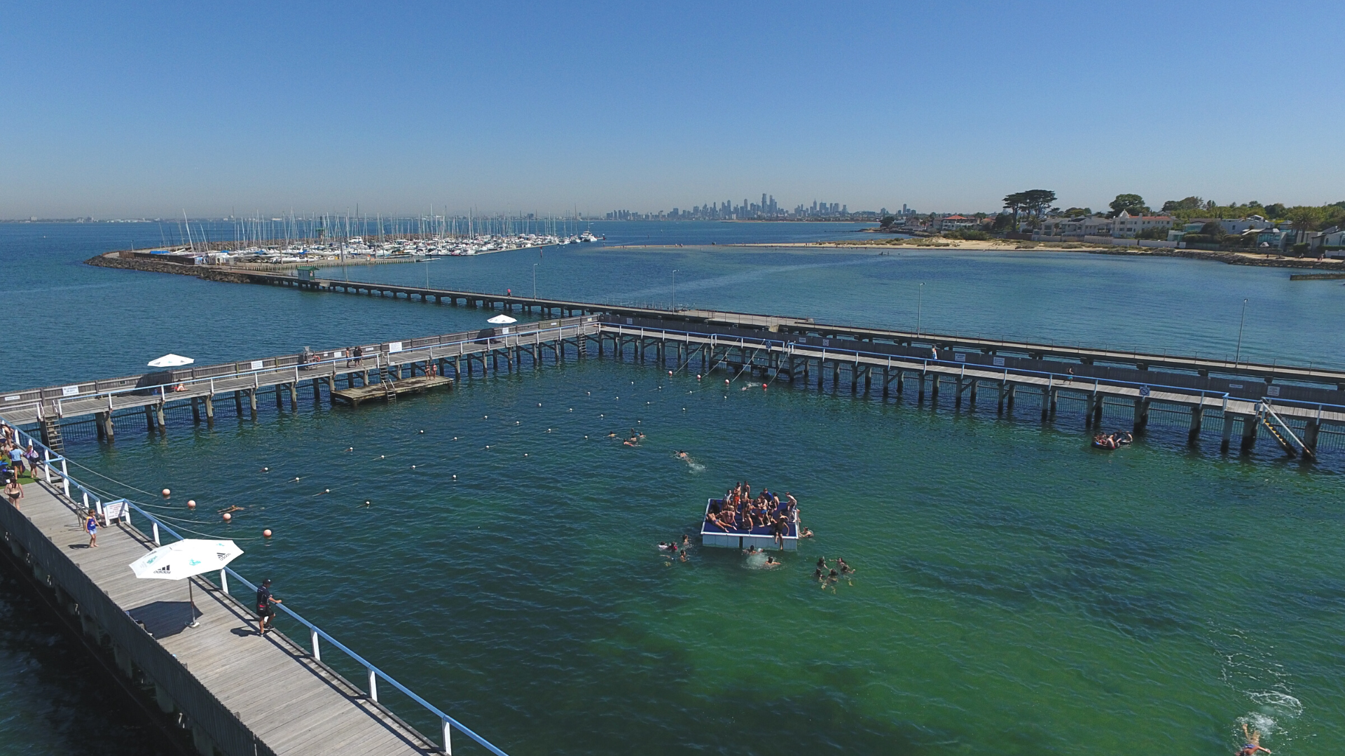 Swimming In The Open Water