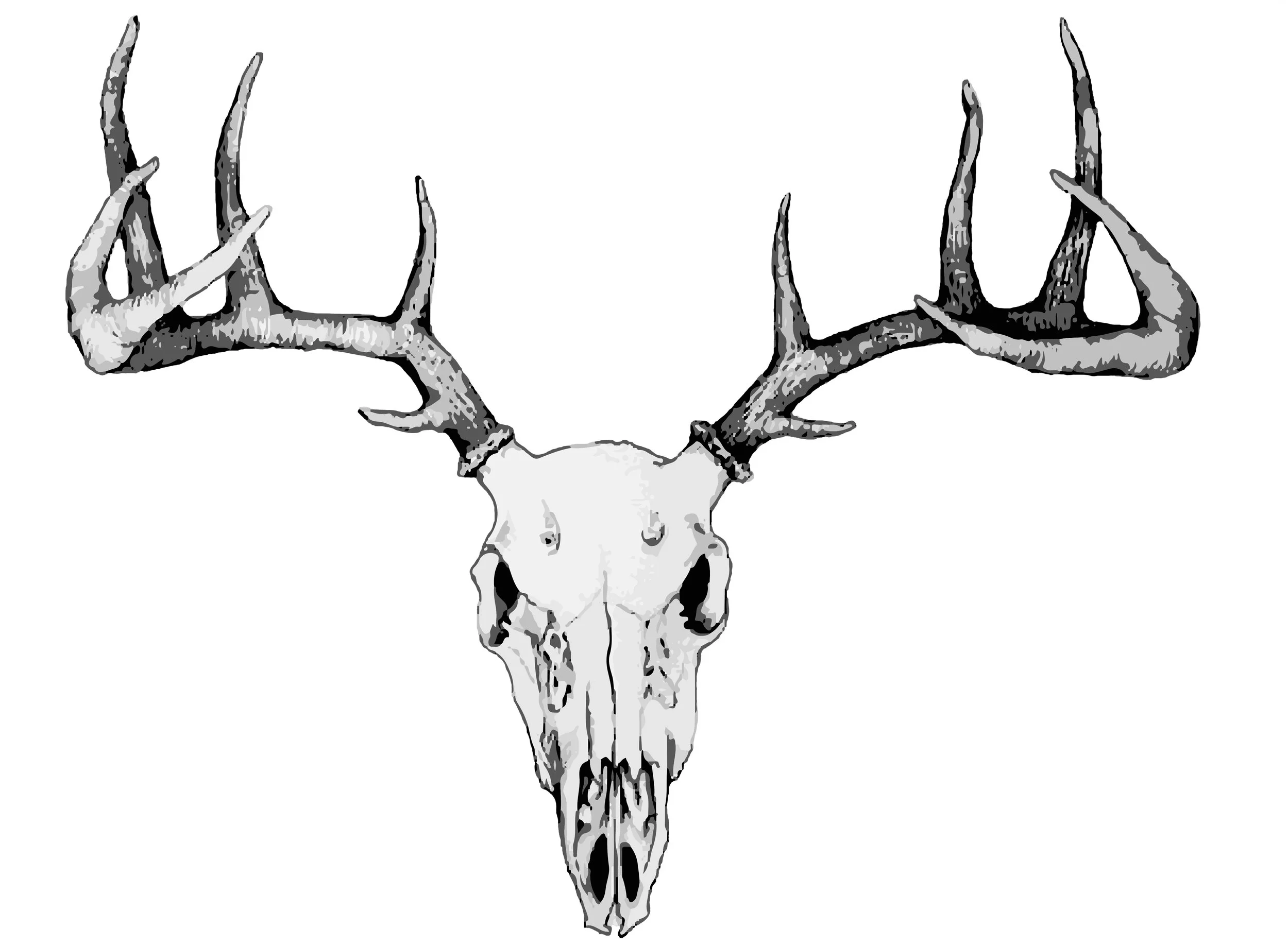 Deer print black and white  copy.jpg