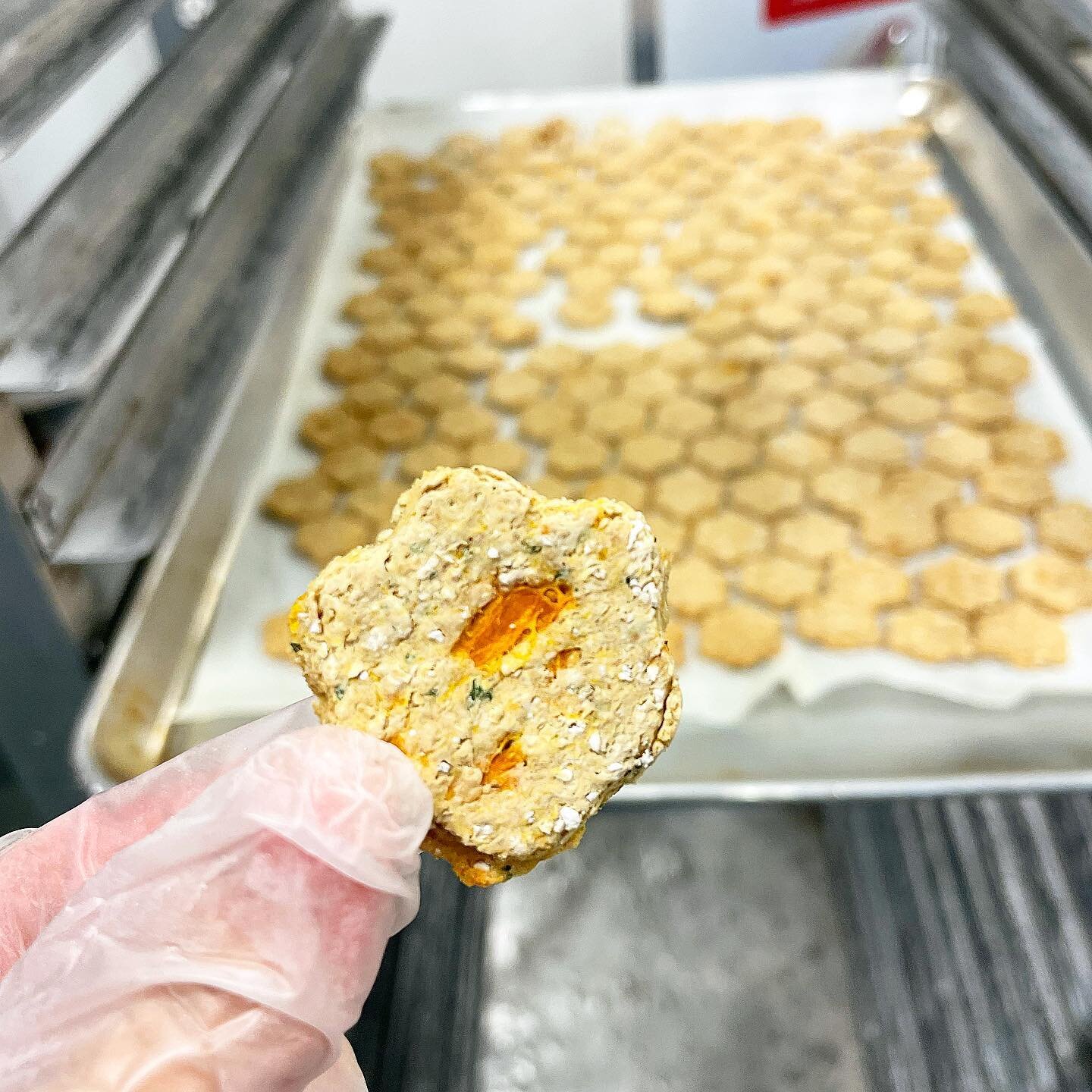 Have you tried our Meat &amp; Potatoes yet?! Our favorite is finding the perfect sweet-potatoey bite, like this one 🤩🥩🍠
.
.
.
.
.
.
.
.
#Buppypets #behindthescenes #bts #kitchenlife #bakerslife #production #makefoodyourbusiness #pettreats #goodfoo