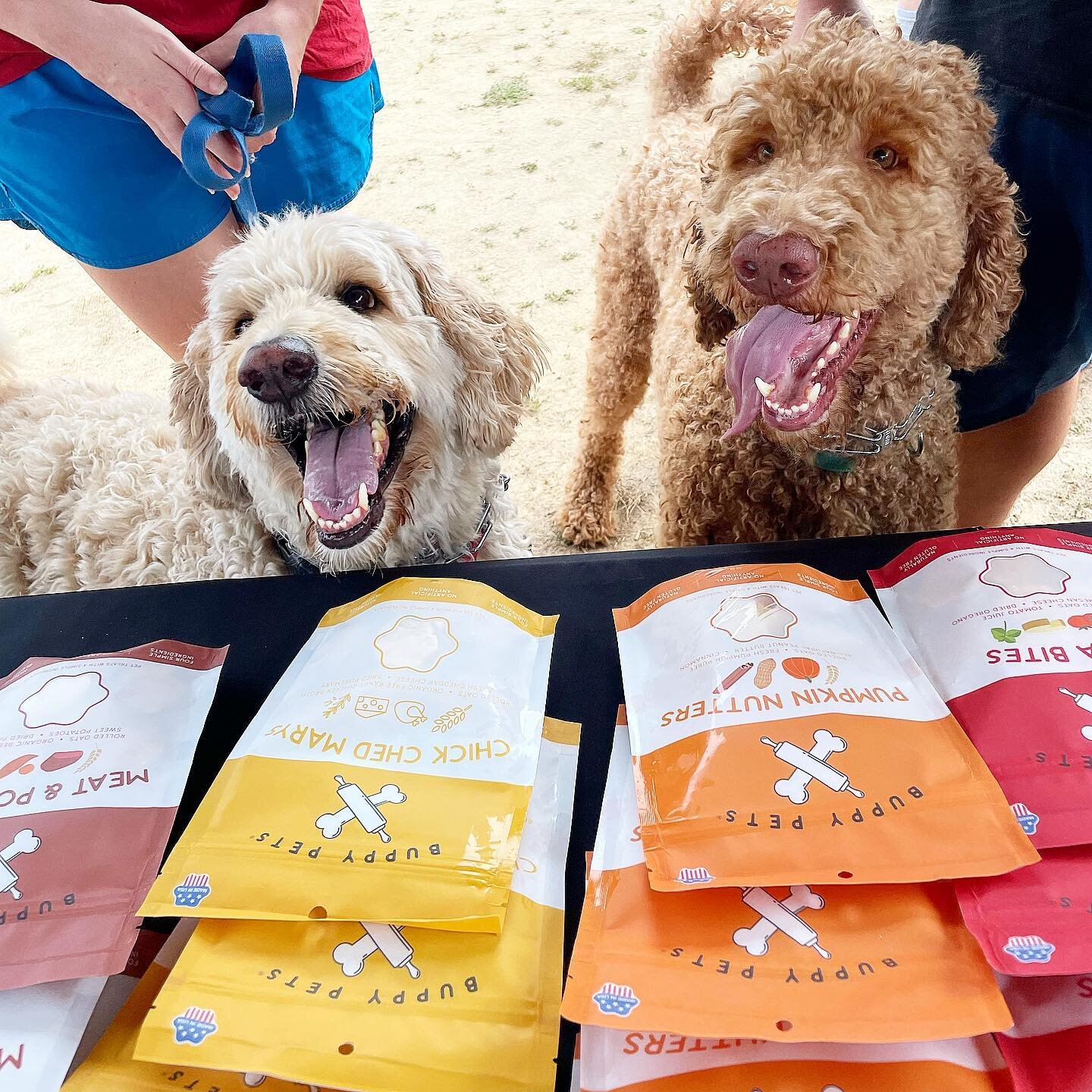 Our weekend was full of loving on so many pups! We can’t wait to do it again on Saturday at @attleborofarmersmarket