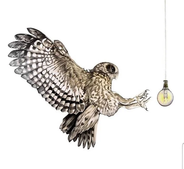 F U L L  M O O N  G I V E A W A Y // I would love to gift the first print from my new 750mm x 560mm ($850) Owl Limited Edition!
-----
Like the wild ocean tides do you feel the pull of the full moon? Are your emotions heightened during the phases of t