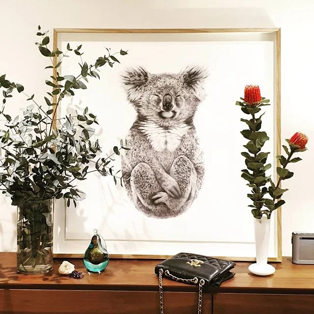 At home Australian Flora + Fauna 🥰 ---- image: 'The Alchemist' Limited Edition @carlalfletcher #Australia #Flora #Koala #pencil #drawing #LimitedEdition #interiordesign #australiagram #artcollector #art #artist #carlafletcher