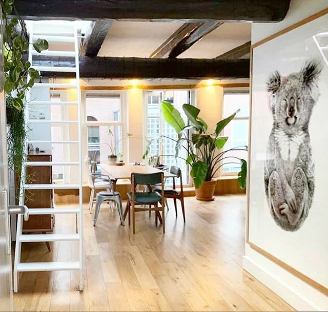 'The Alchemist' 1.2m x 1.7m floating in Marije's stunning loft home in The Netherlands - #dreams #Alchemist #drawing #artist #carlafletcher #LimitedEdition #koala #loftapartment #interiordesign #artcollector #Netherlands #🇳🇱 #😍 art: The Alchemist 