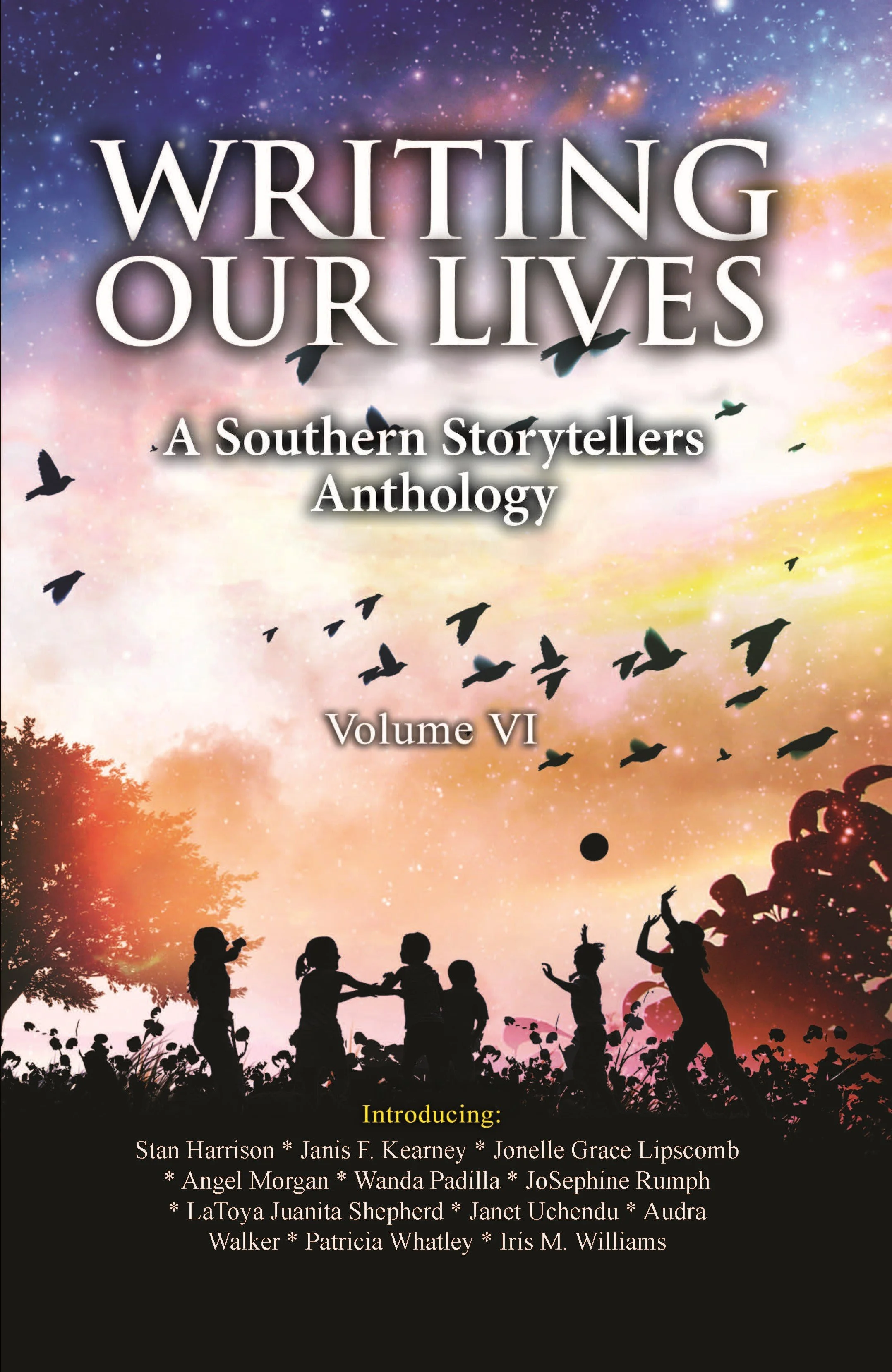 Writing our Lives: A Southern Storytellers' Anthology - Volume VI