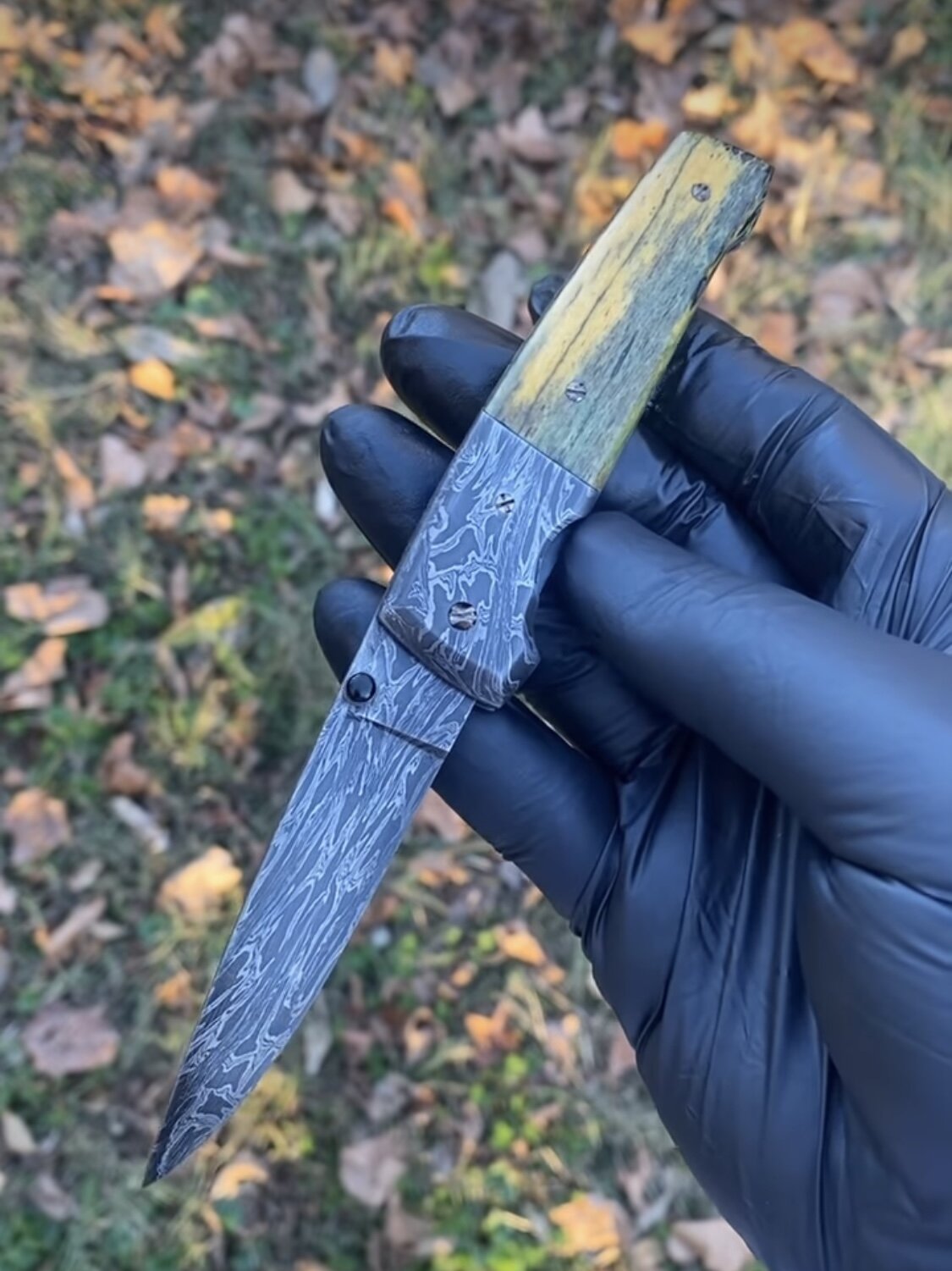 5BB6B044-2445-4ACB-9D03-AD3F54EF1CD0