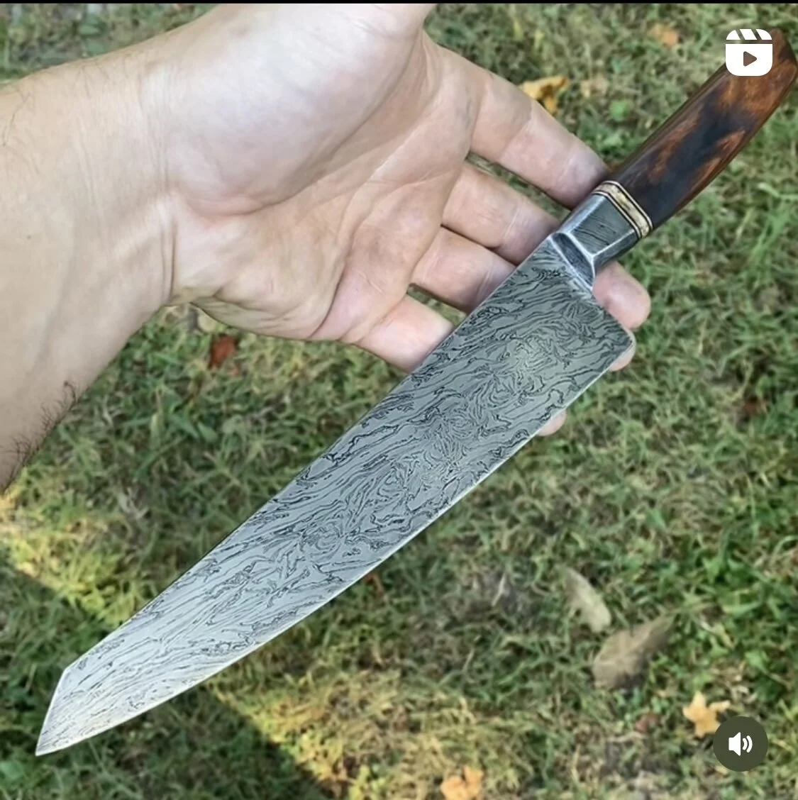 5F95B986-FDB8-48B3-8269-4760E919614C