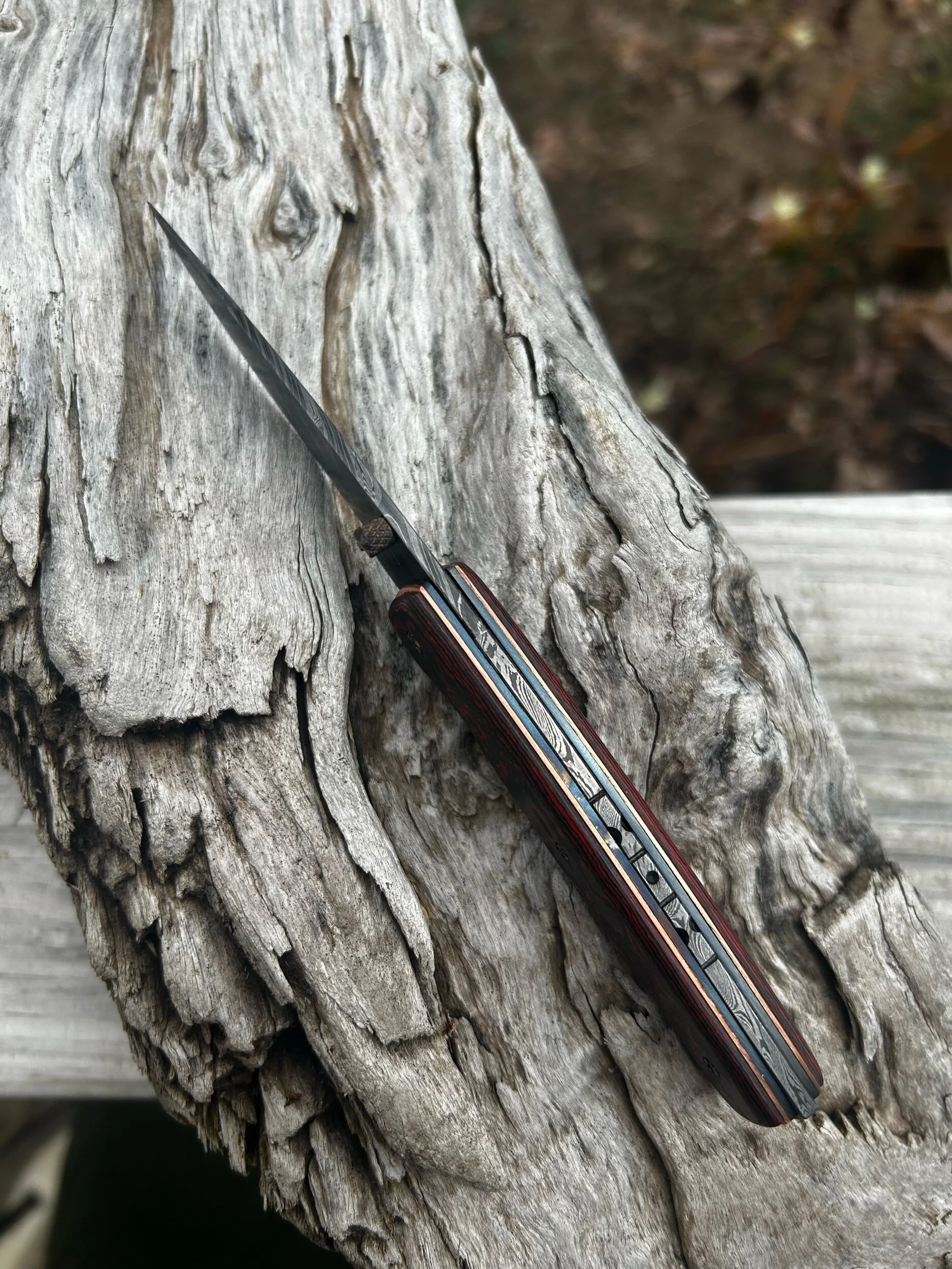 49CD1695-1A71-4740-B9D8-91B401745406