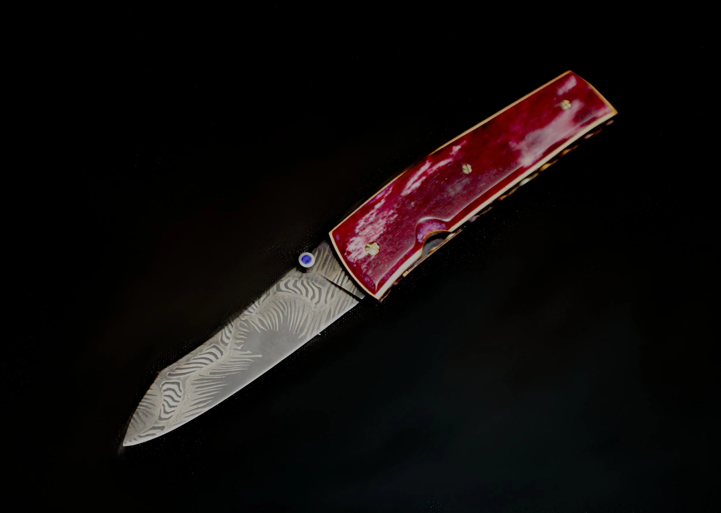 OleanderFolder.JPG
