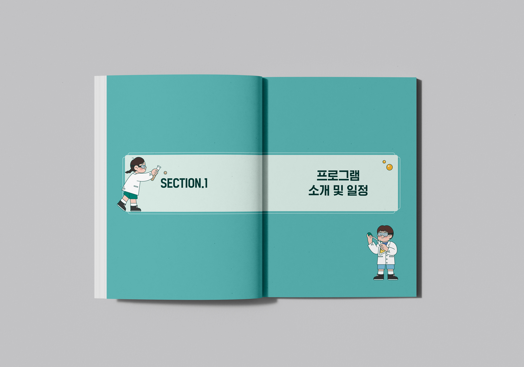 서울대 물리교육과_3_2.png