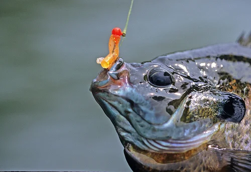4 Websites You Need to Stop Sharing Link Bait From in 2014