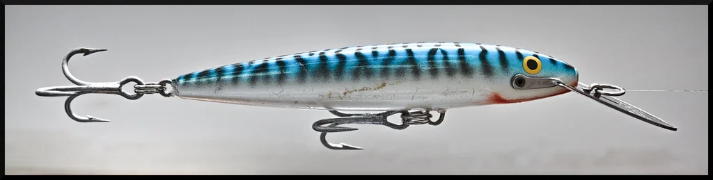 Bait