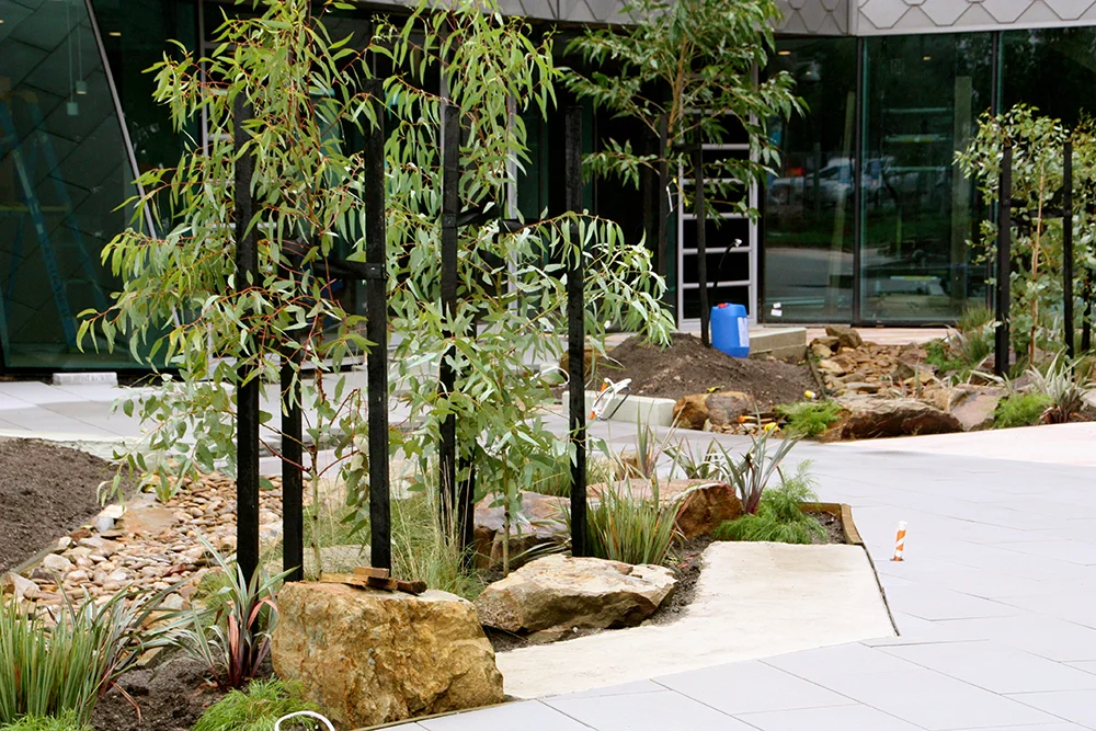  Victoria University IPE Clinic Werribee 