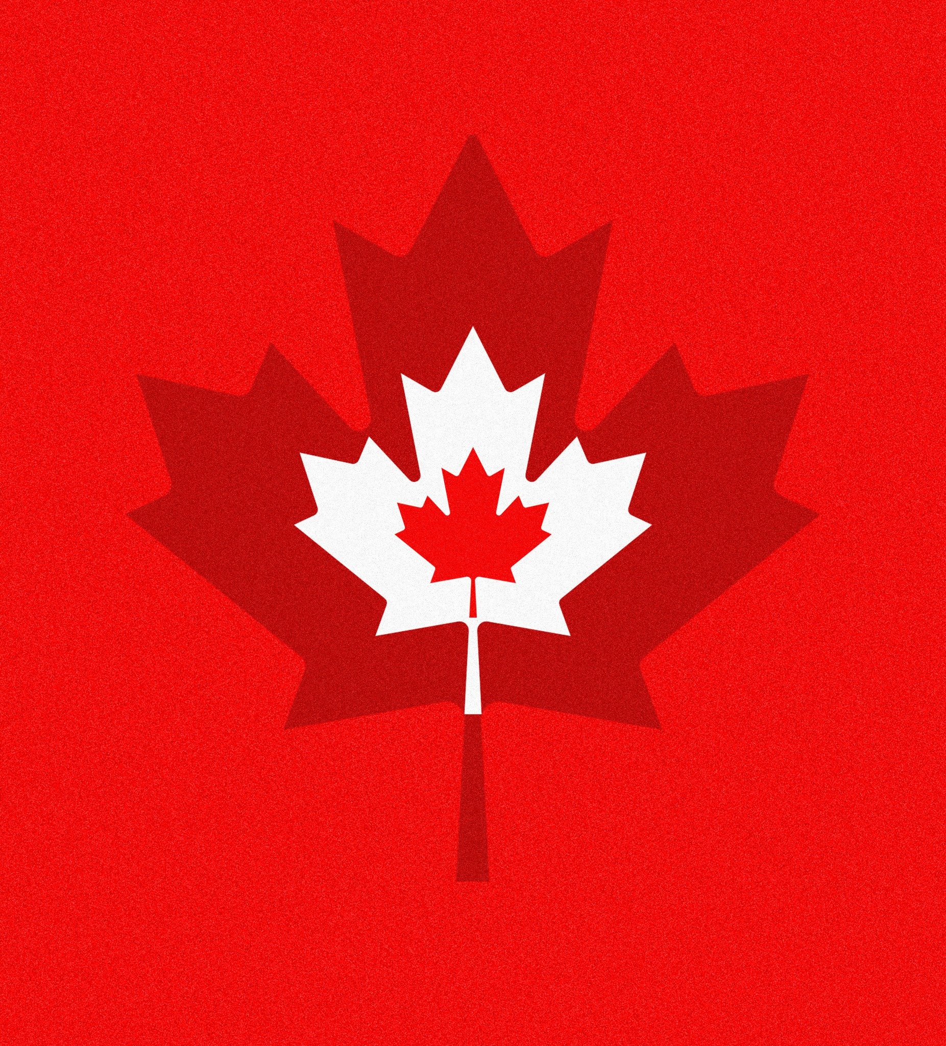 𝗛𝗮𝗽𝗽𝘆 𝗖𝗮𝗻𝗮𝗱𝗮 𝗗𝗮𝘆! 🎇🍁 We're both proud and grateful to call this country home!! #CanadaDay