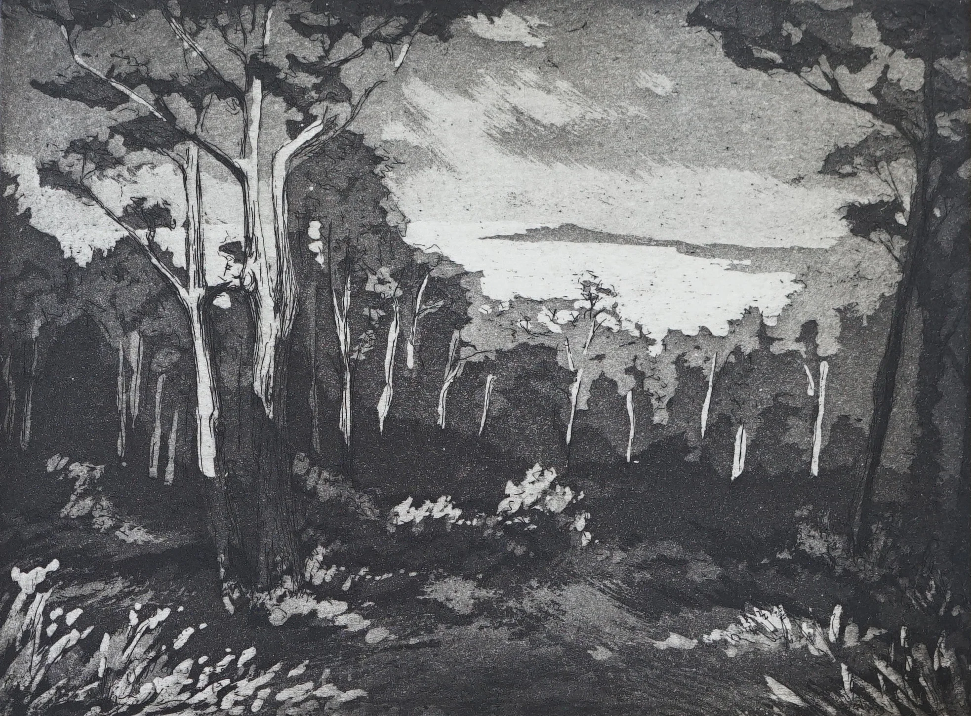 Ghost Gum Woods, 2017
