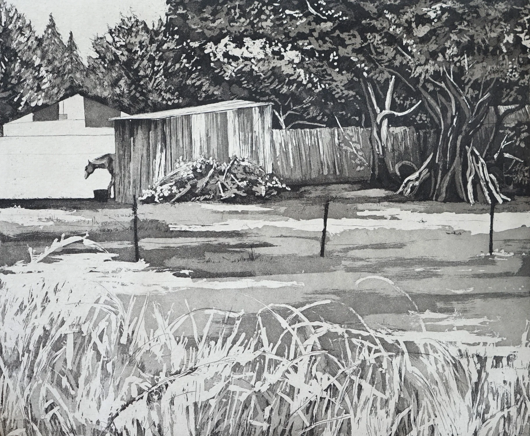 Suburban Pastoral 1, 2010
