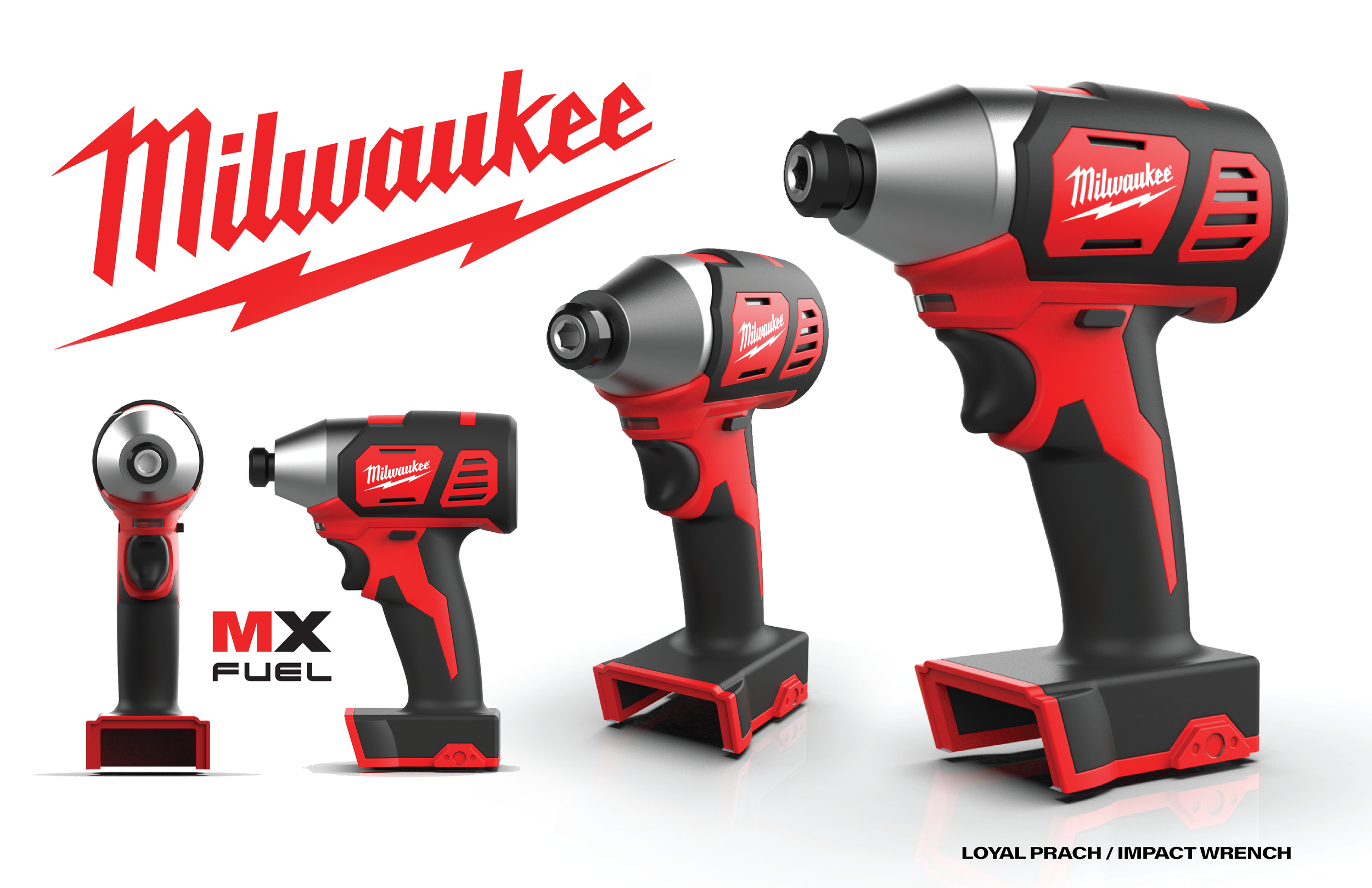 Surface Model and Rendering