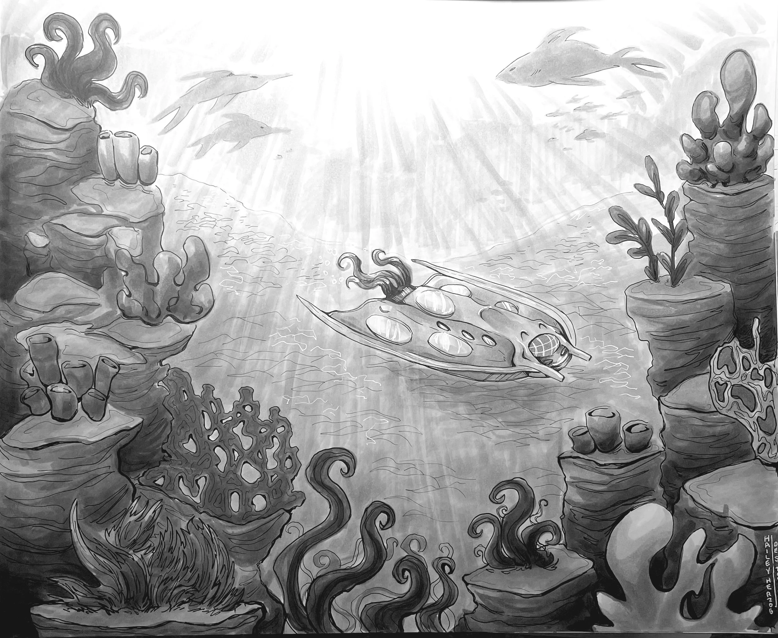 Vehicle and Environment