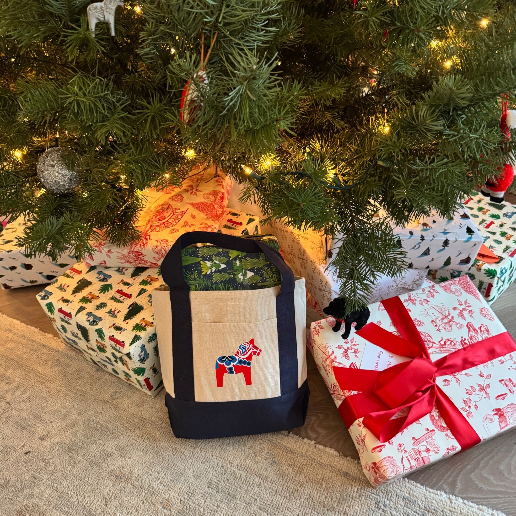 Swede Love Mini Canvas Boat Tote