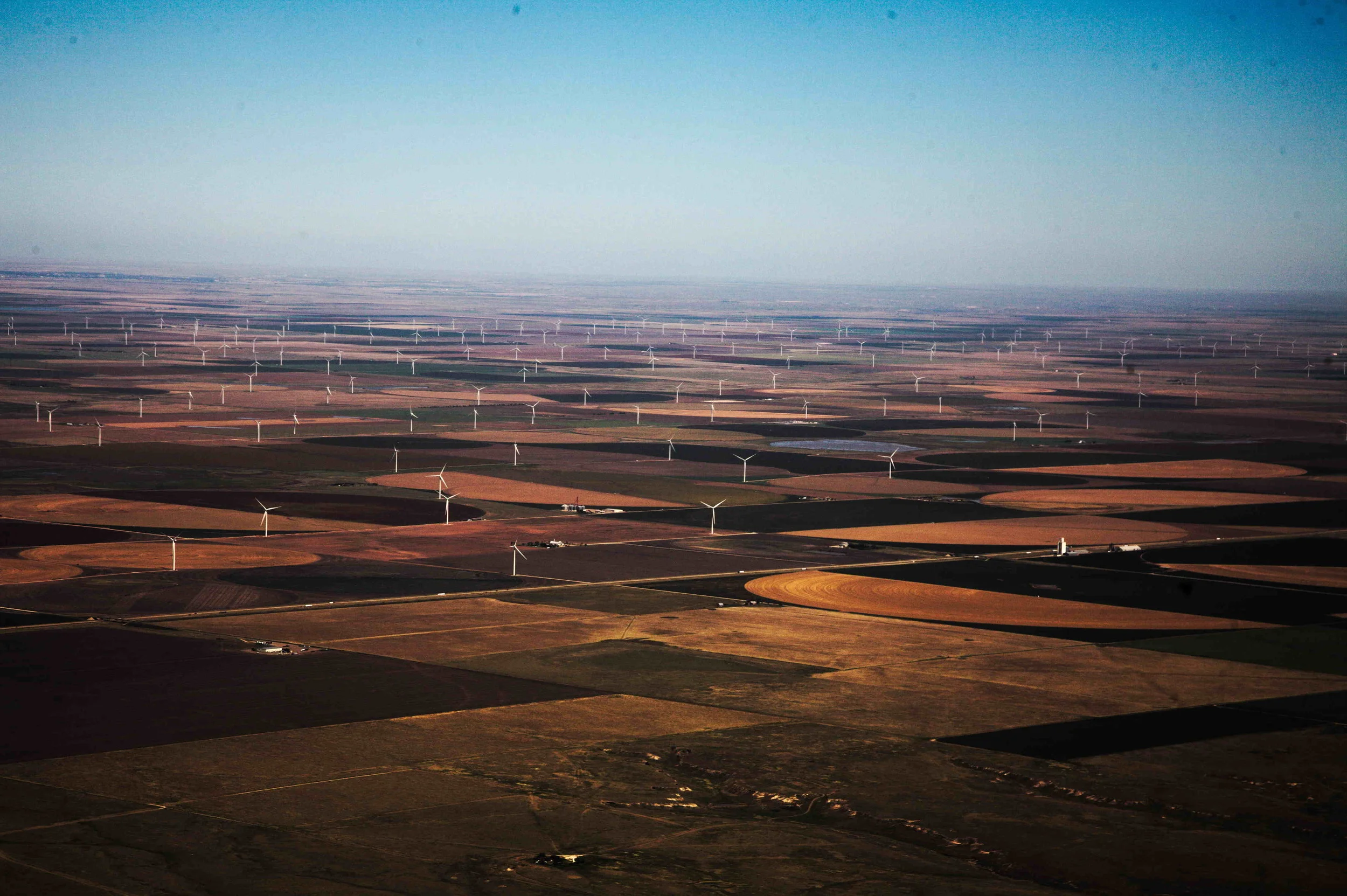 amarillo2.jpg