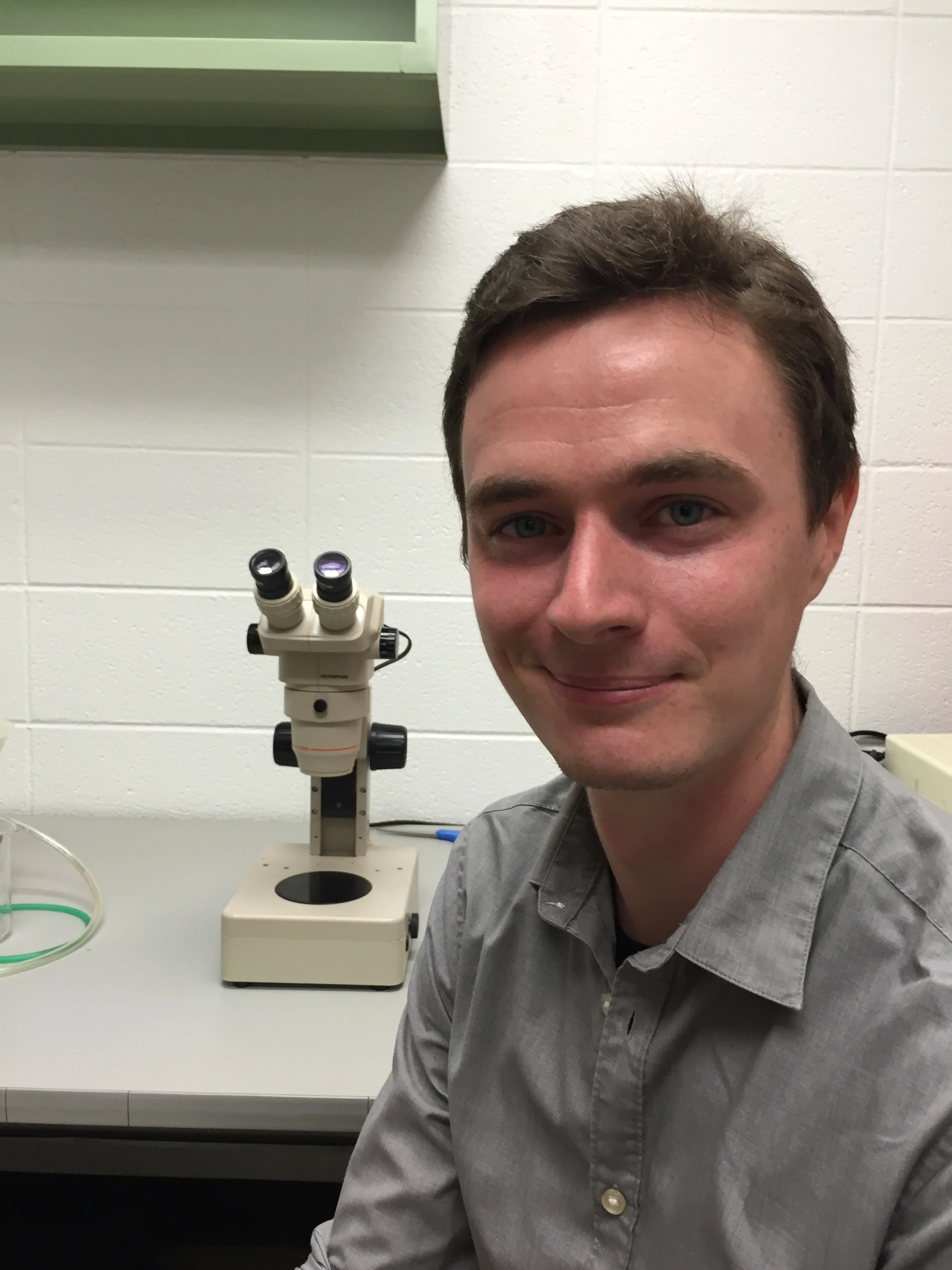 TOM HILL (postdoctoral Researcher) Tom works on understanding the evolution of parasites and their hosts using bioinformatics. He studies the co-evolution of mushroom-feeding D. innubila and their parasites, including a DNA virus and male-killing Wolbachia . He is currently assembling the D. innubila genome and identifying factors related to its ecology, such as genes involved in resistance to toxic mushrooms or immune system evolution. He is also working to understand transposable element host-pathogen co-evolution across different species of Drosophila using next generation sequencing.