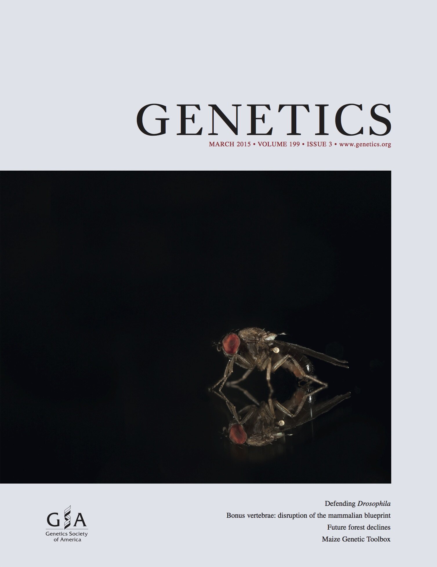 Genetics_March2015_Cover2.jpg